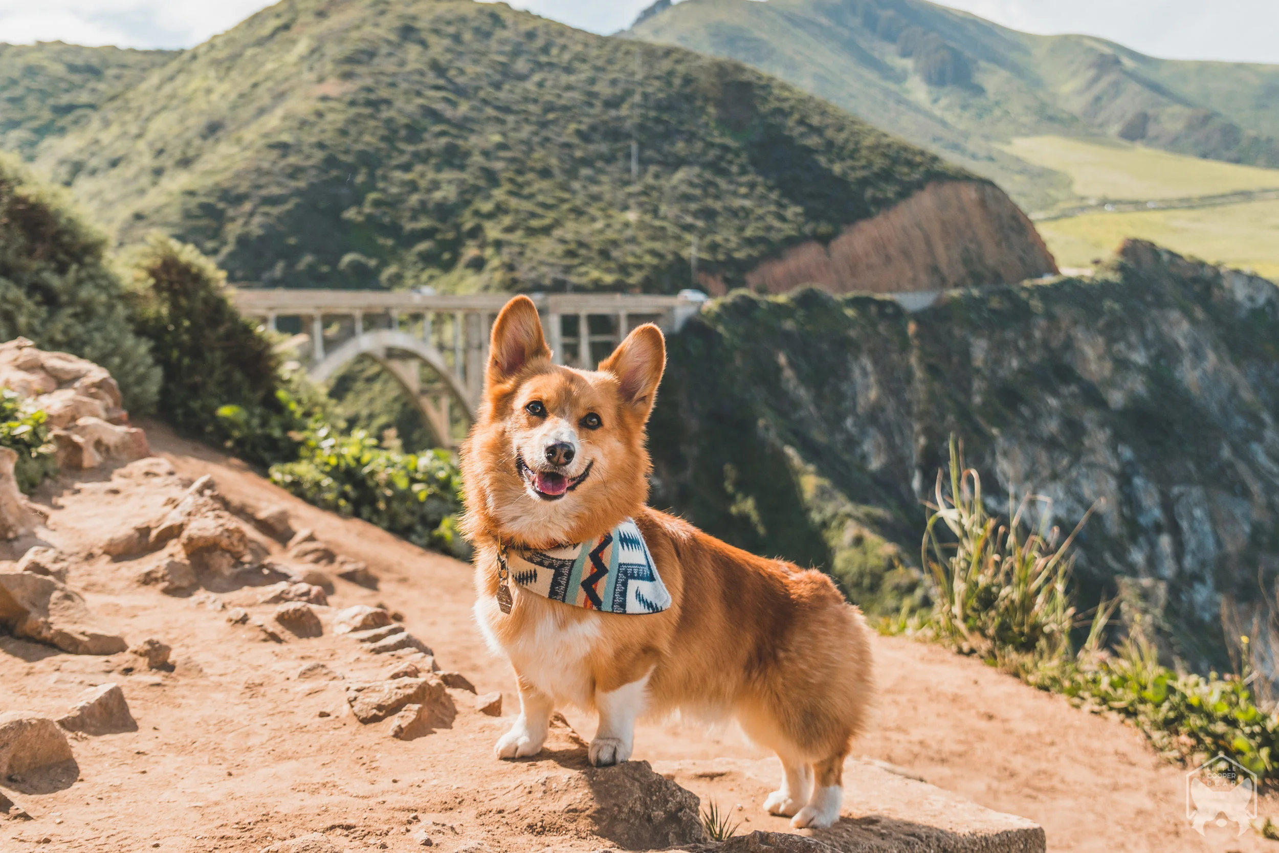 20190505-DSC07608.jpg