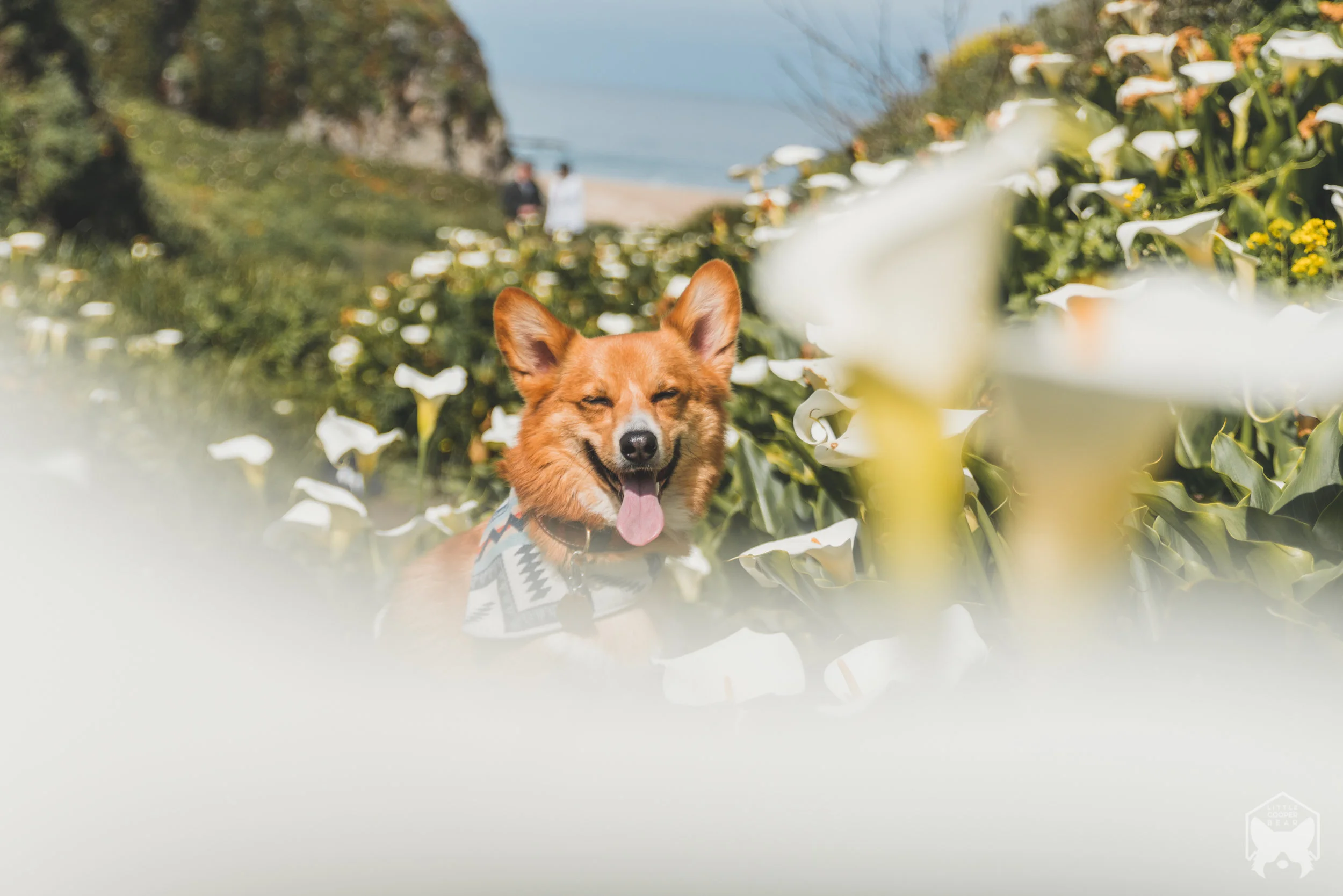 20190505-DSC07808.jpg
