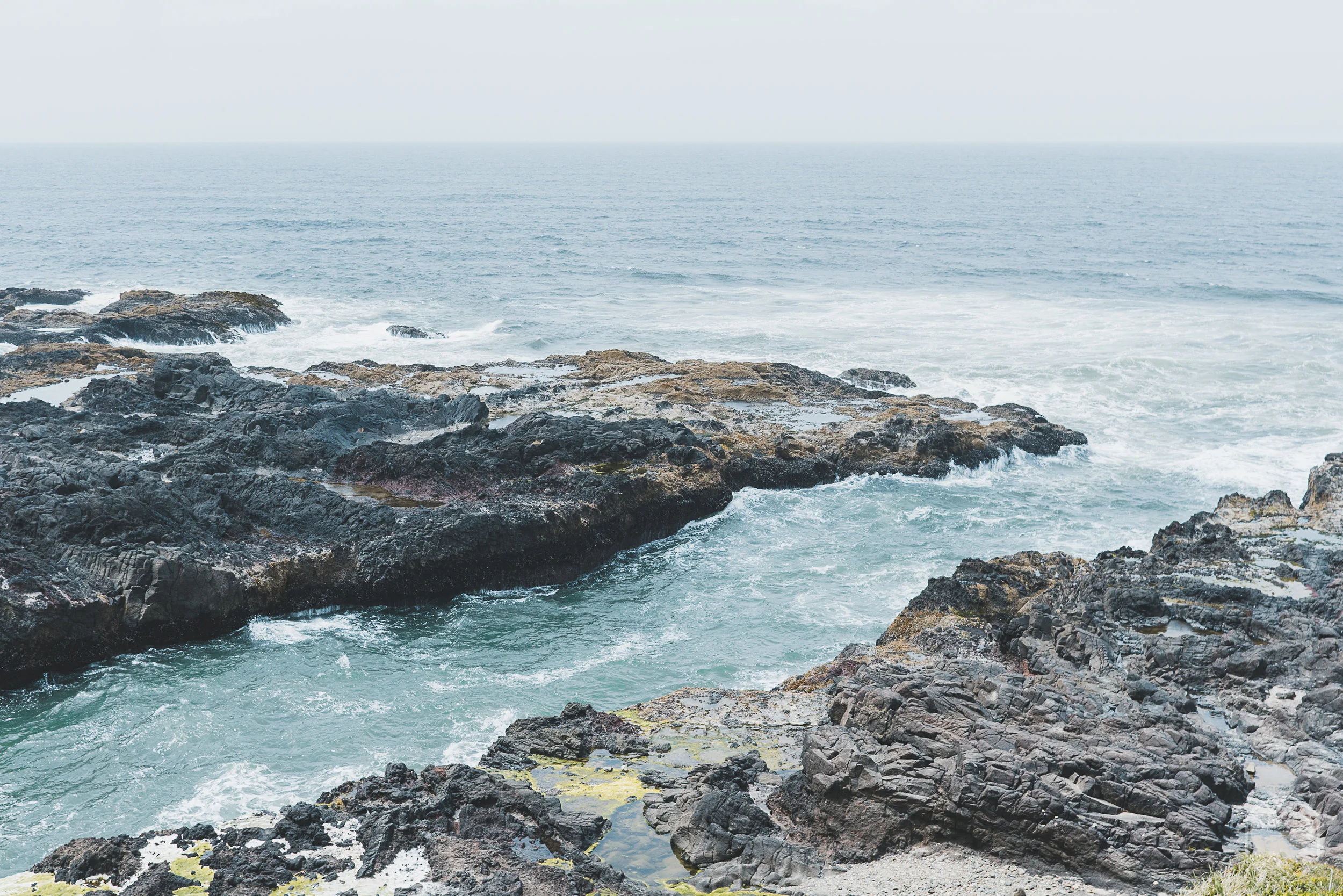 20190613-DSC01283.jpg