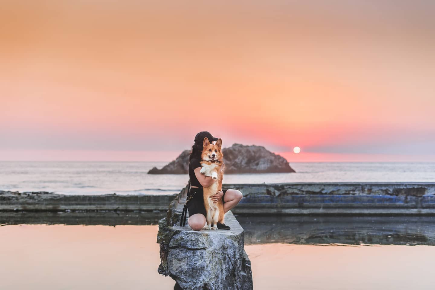 Cooper: I'm not jealous...
Also Cooper: *See mom pet another dog* hey...who is that 🙃
.
As we mentioned before, one of our big news is that we are moving out of San Francisco to the East Bay at the end of the month! Still not tooooo far but far enou