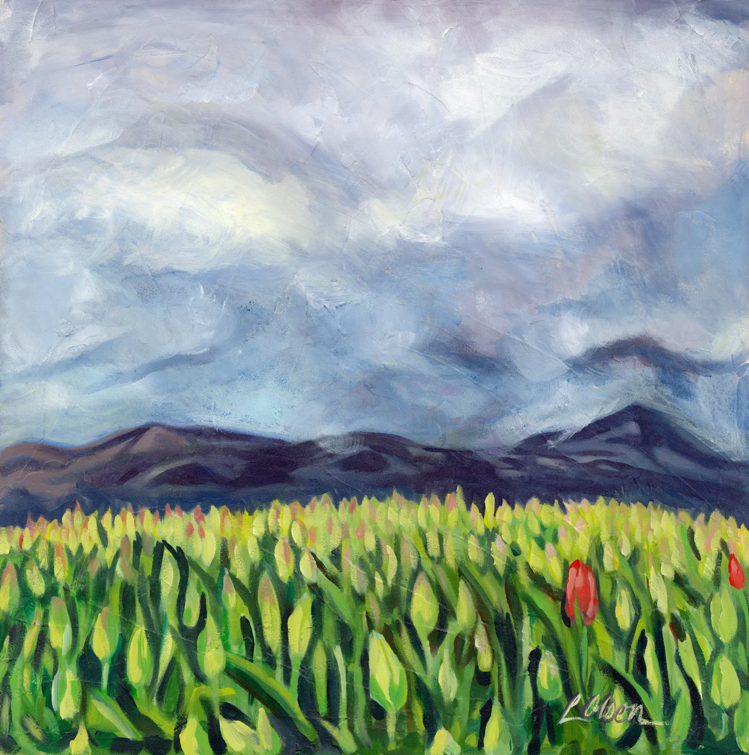 Tulip Landscape