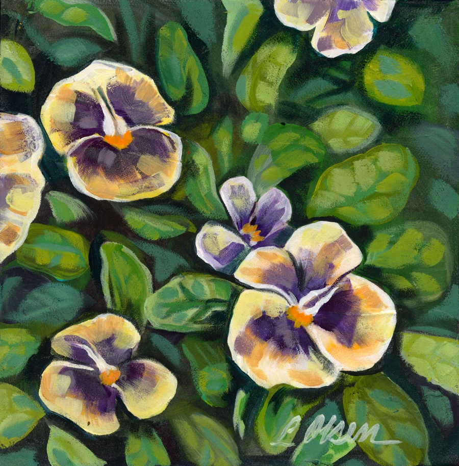 Pansies