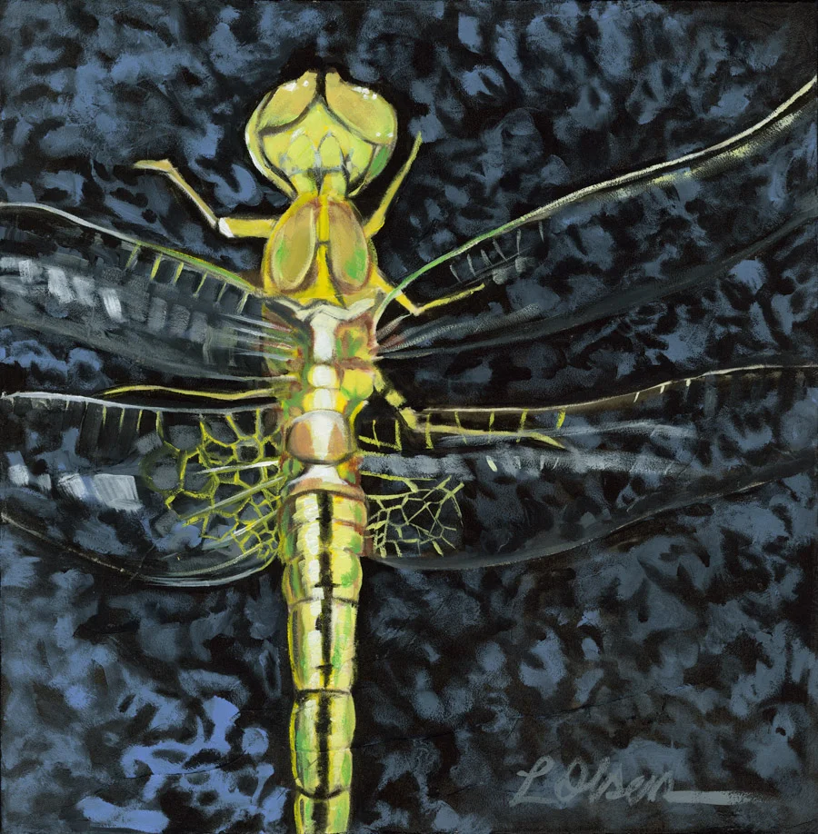 Dragonfly on Lava Rock