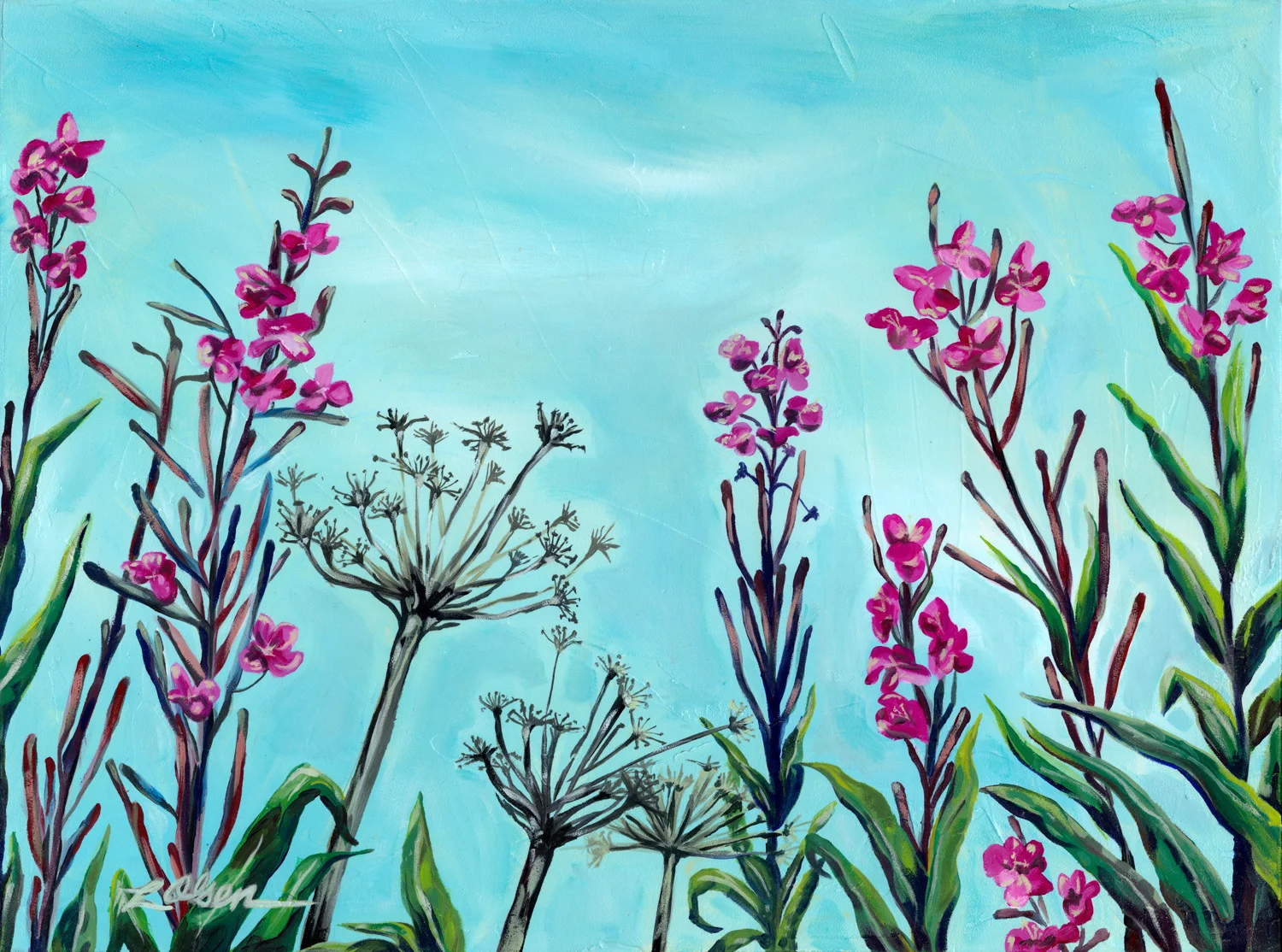 August Fireweed