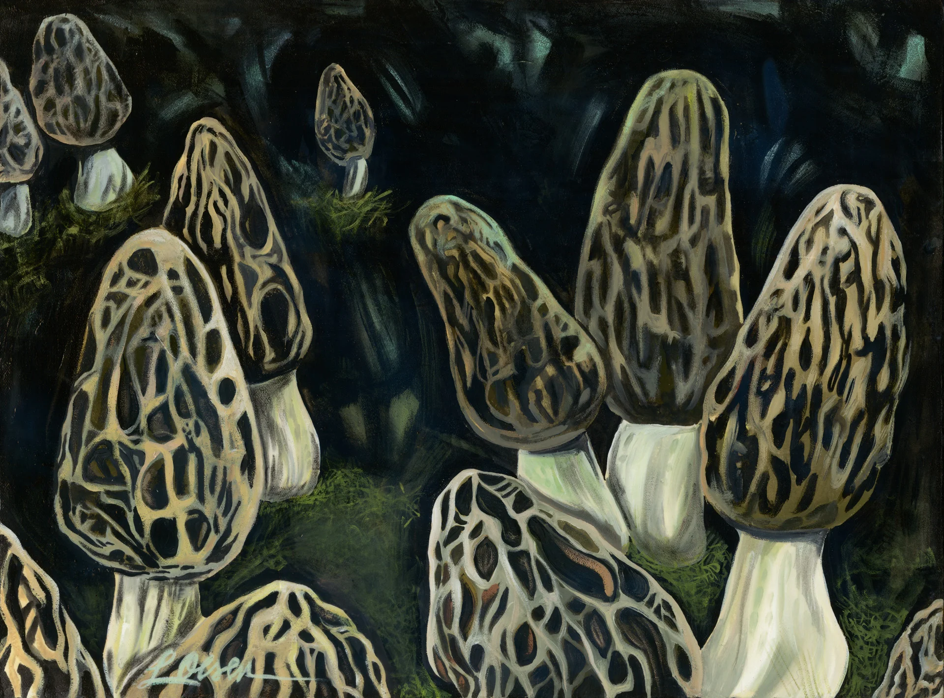 Moonlit Morels