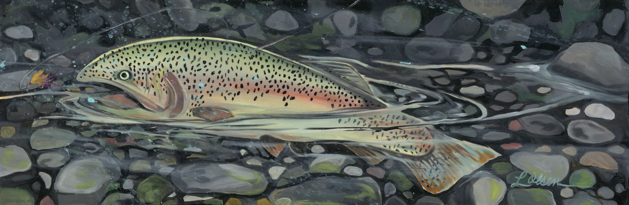 Rainbow Trout