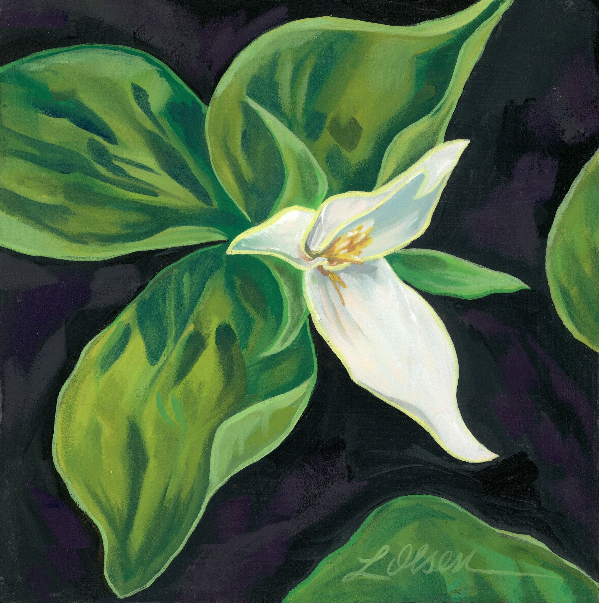 Spring Trillium #2