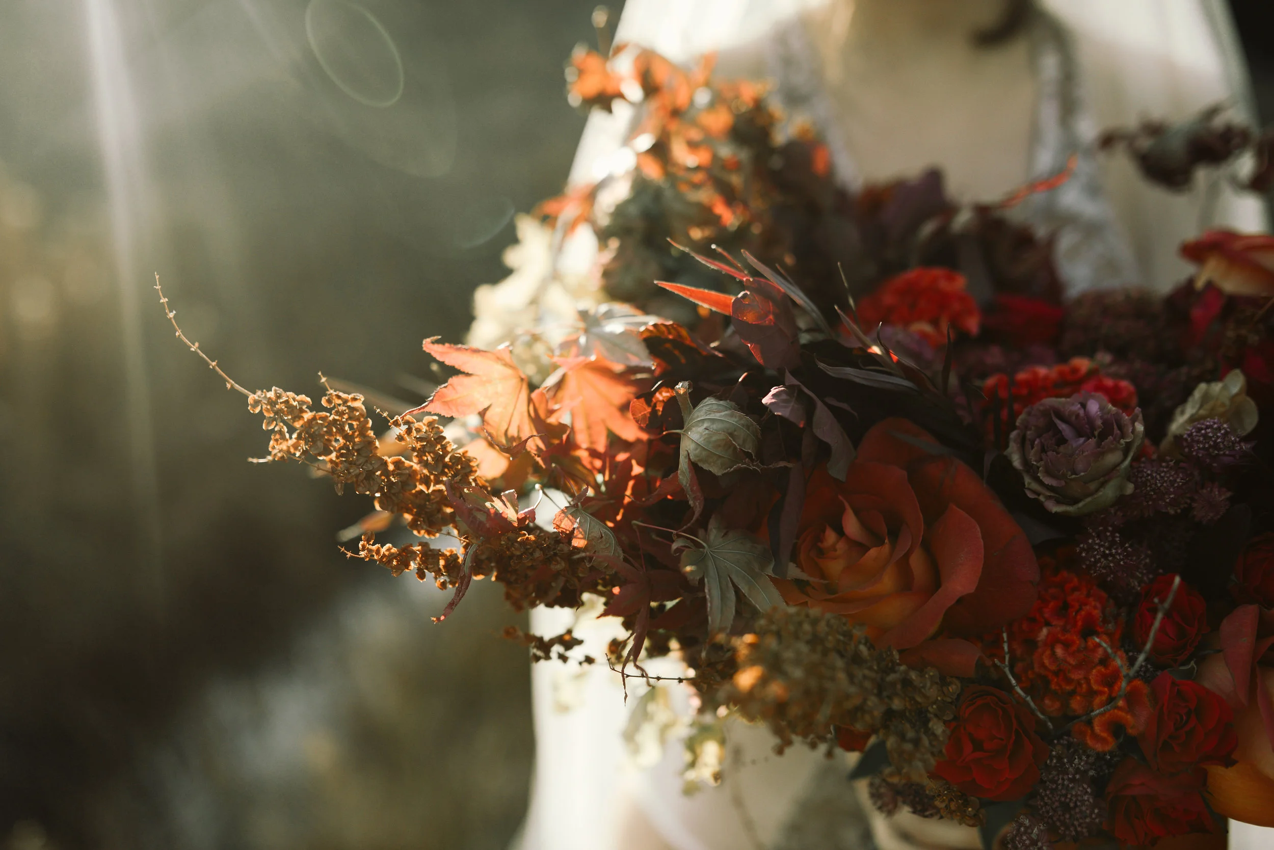 HaleyNordPhotography-7.JPG