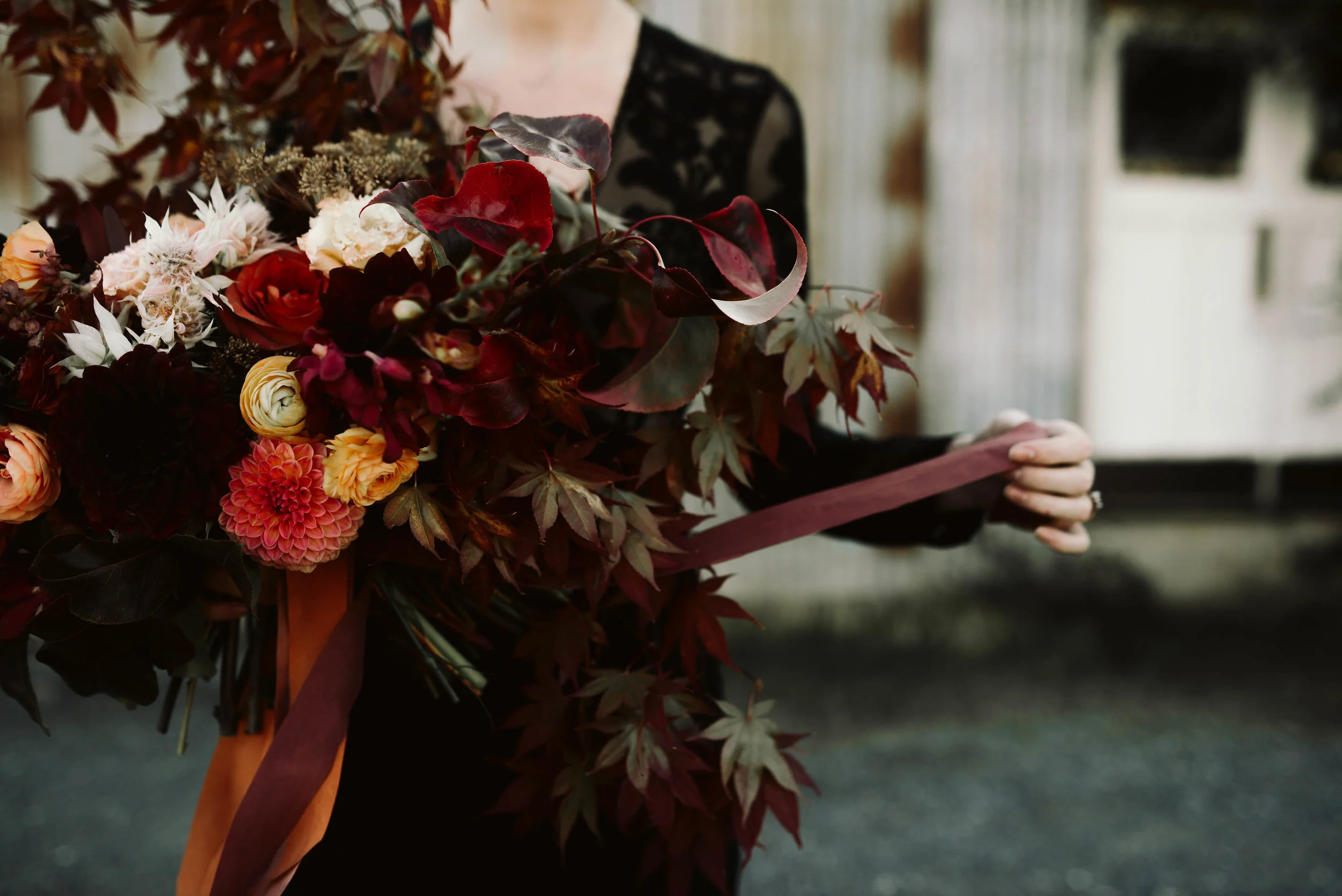 HaleyNordPhotography(36of122).jpg