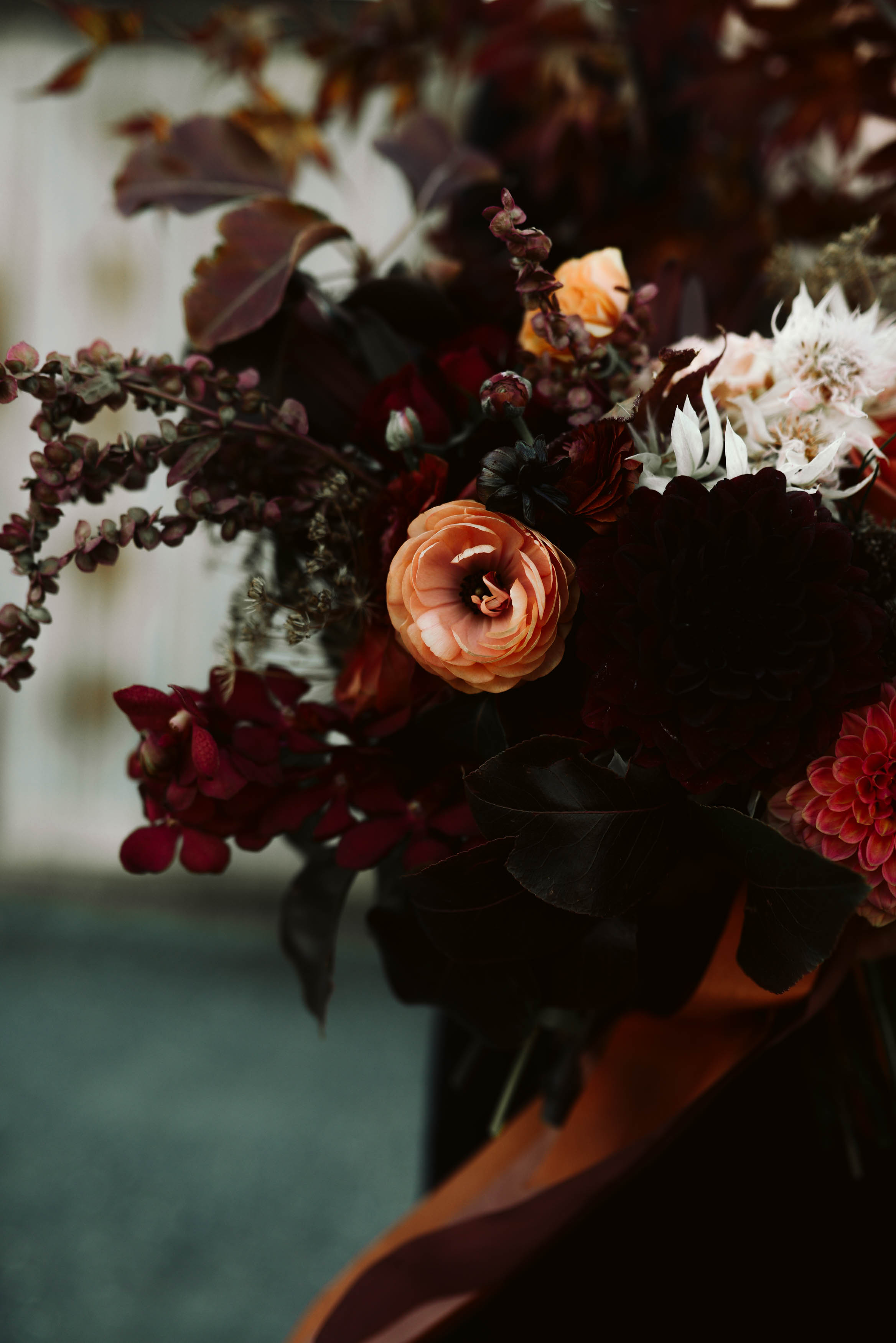 HaleyNordPhotography(43of122).jpg