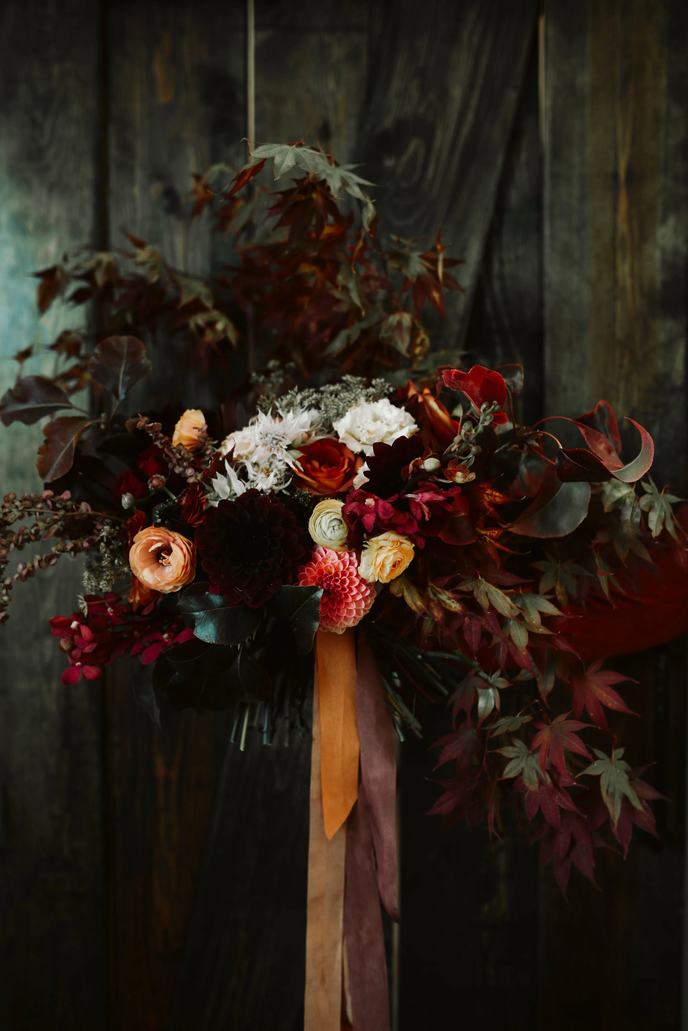 HaleyNordPhotography(28of122).jpg
