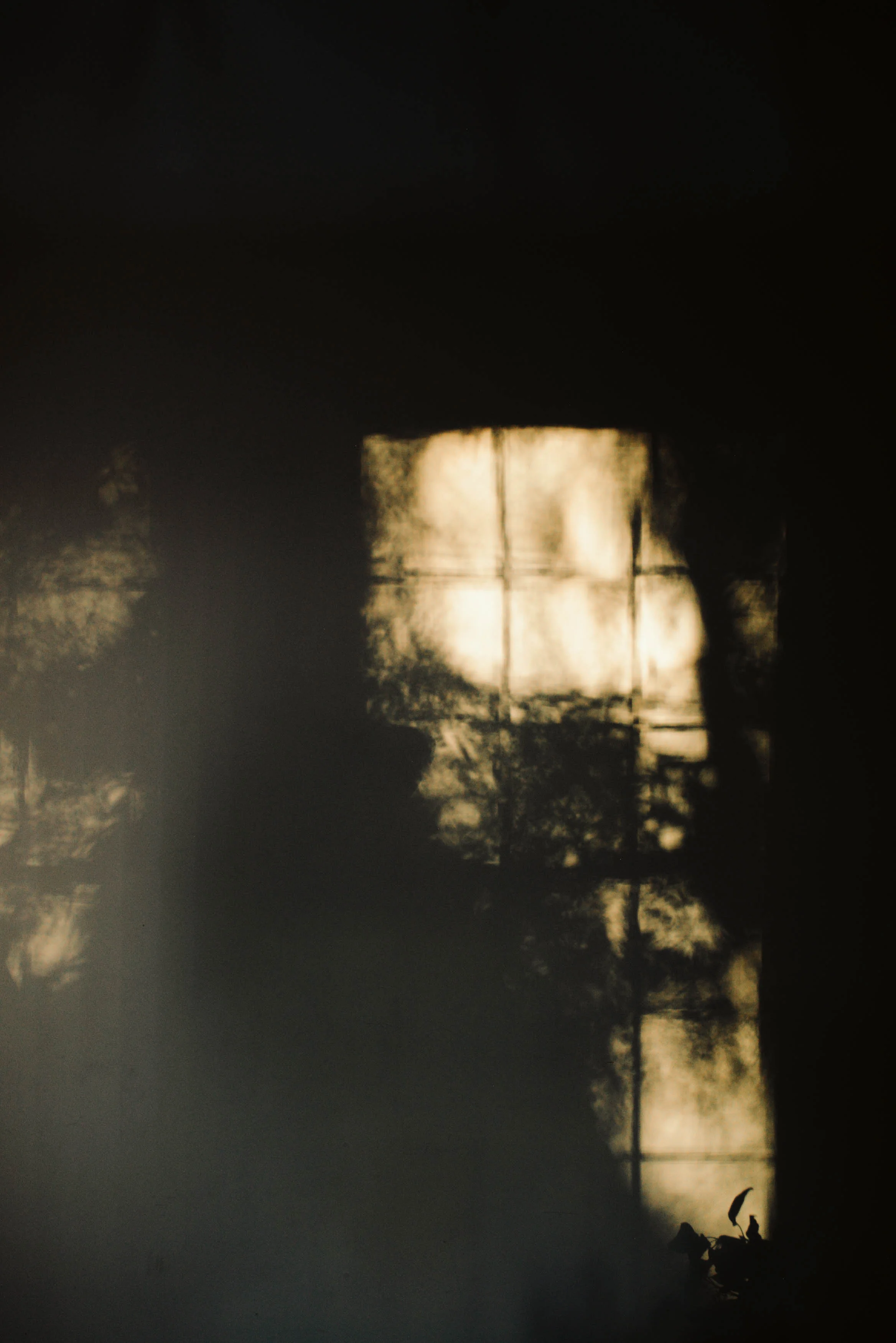 HaleyNordPhotography(85of122).jpg