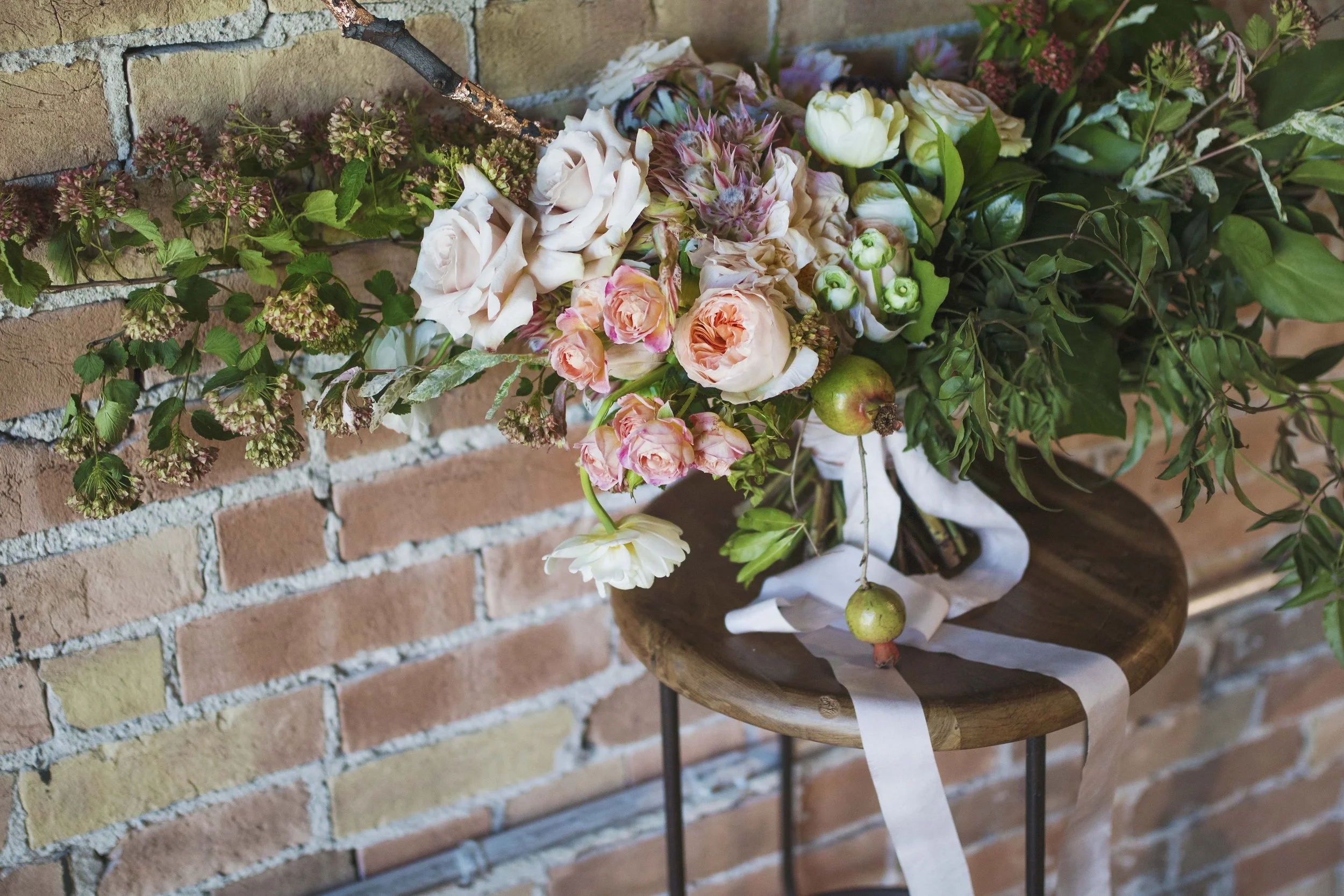 Copy of Copy of IMG_6563.jpg