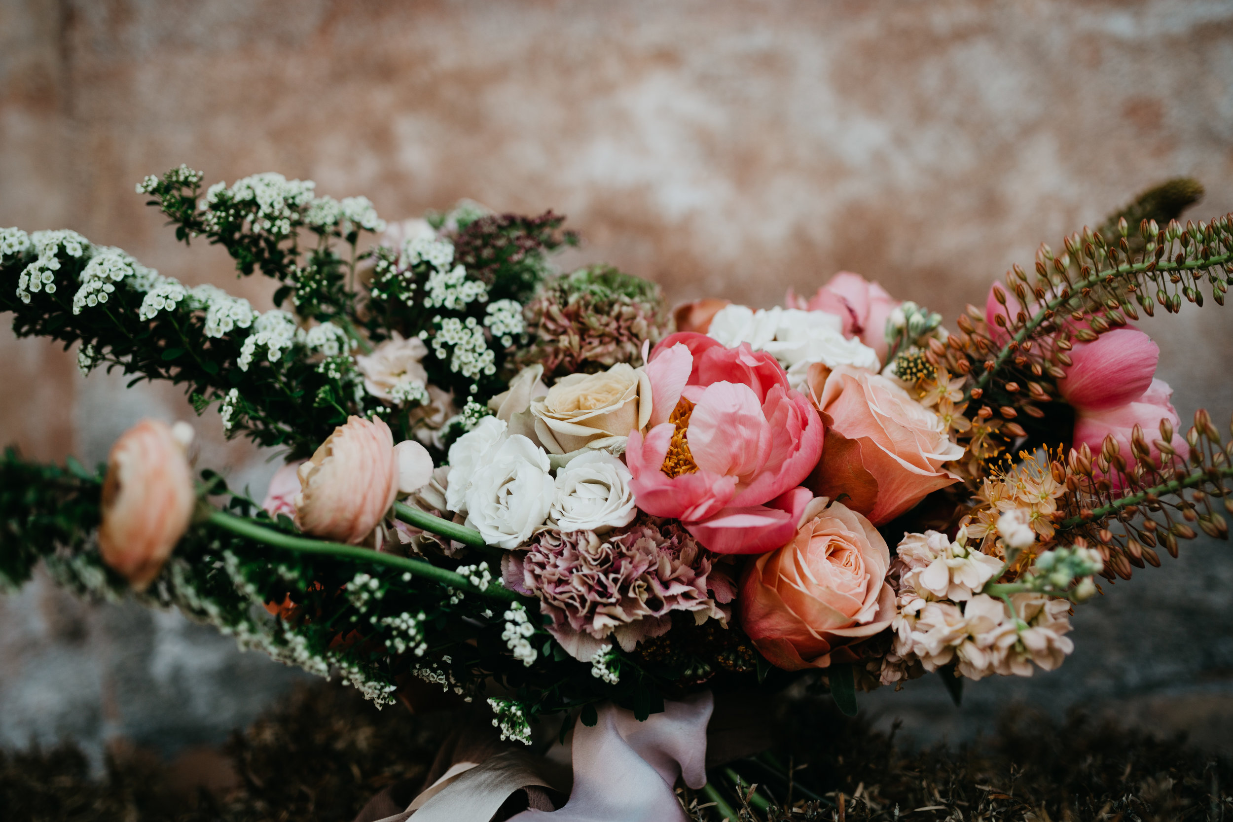 pottedpansy-nicoleleighphoto-54.jpg