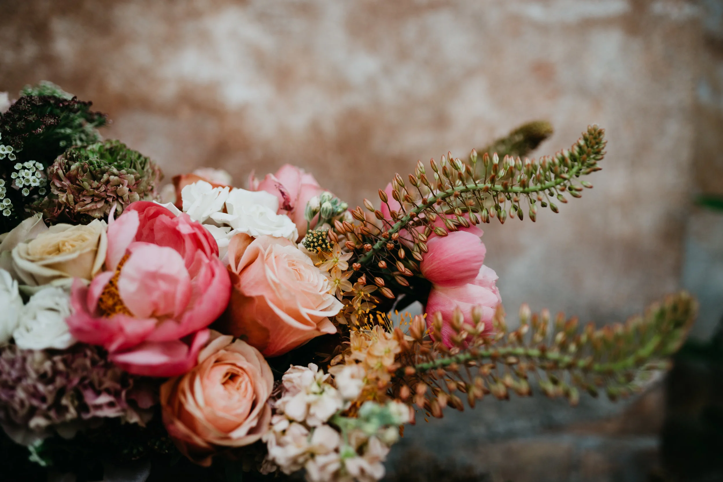 pottedpansy-nicoleleighphoto-56.jpg