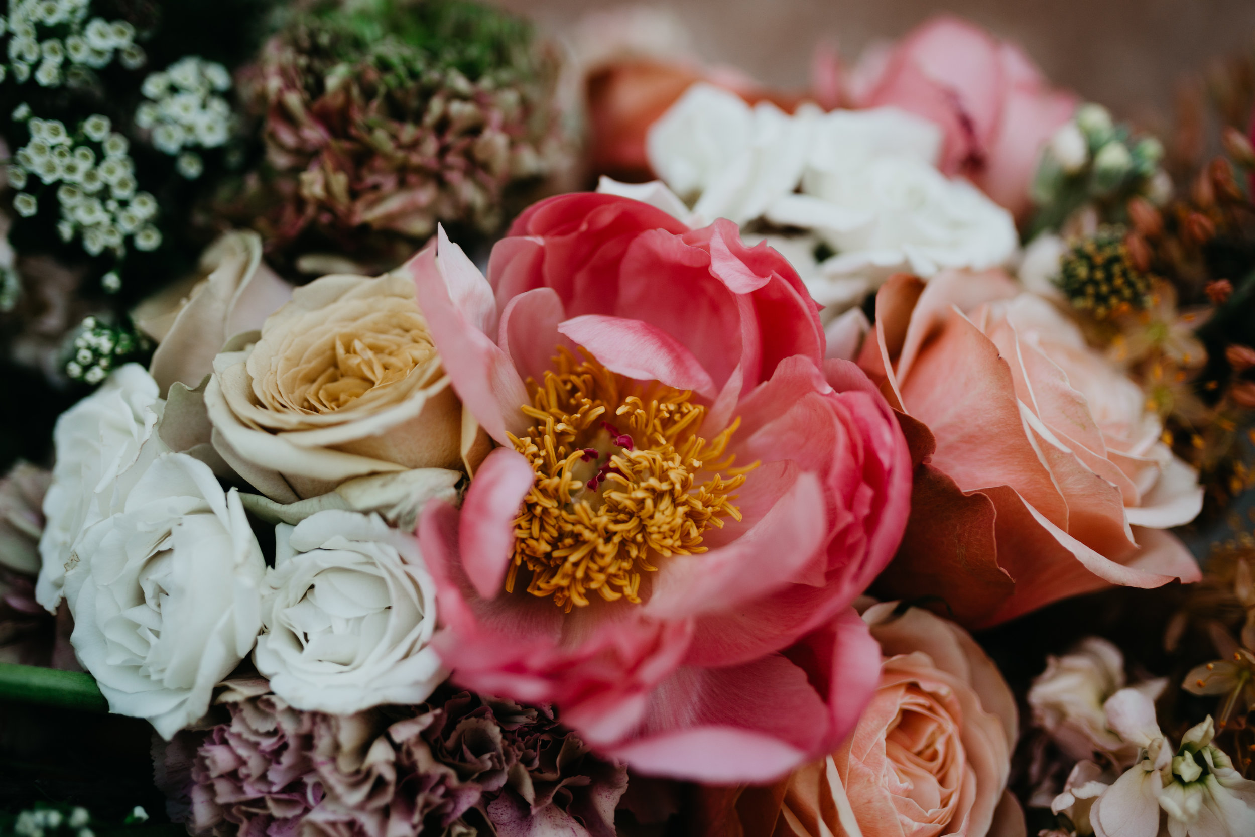 pottedpansy-nicoleleighphoto-57.jpg