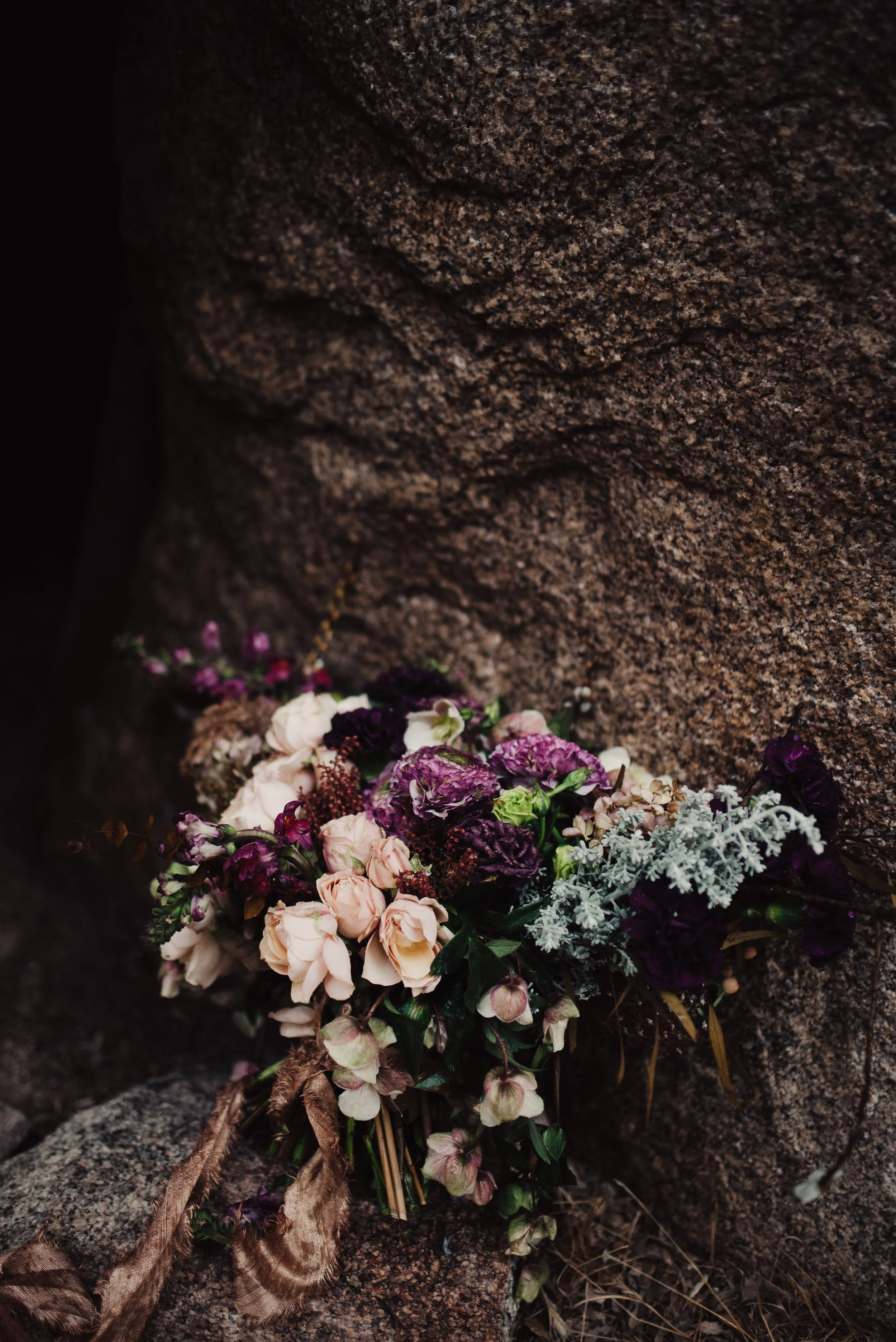 joshuatree-edenstraderphoto-56.jpg