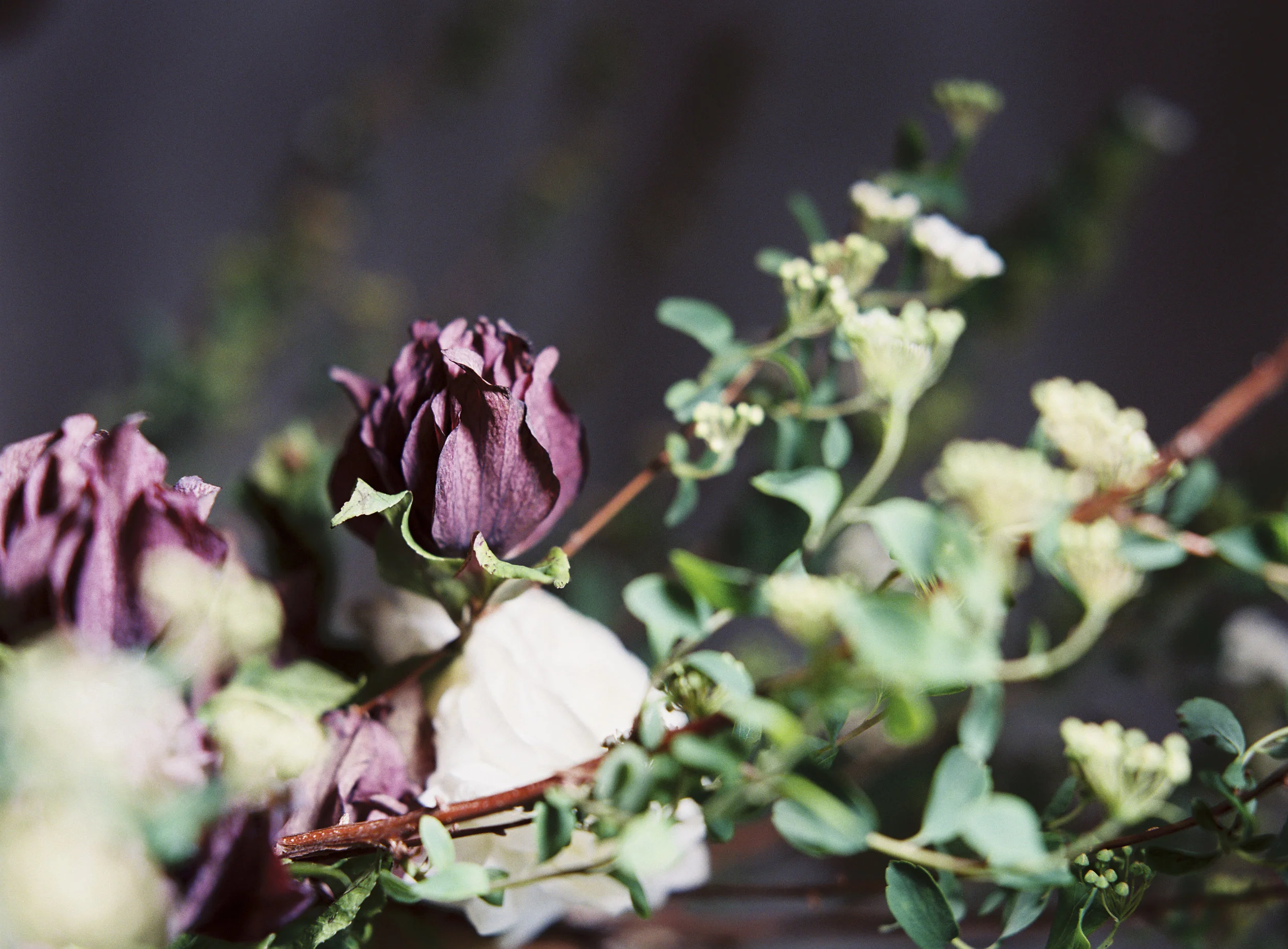The Potted Pansy Centerpiece Detail