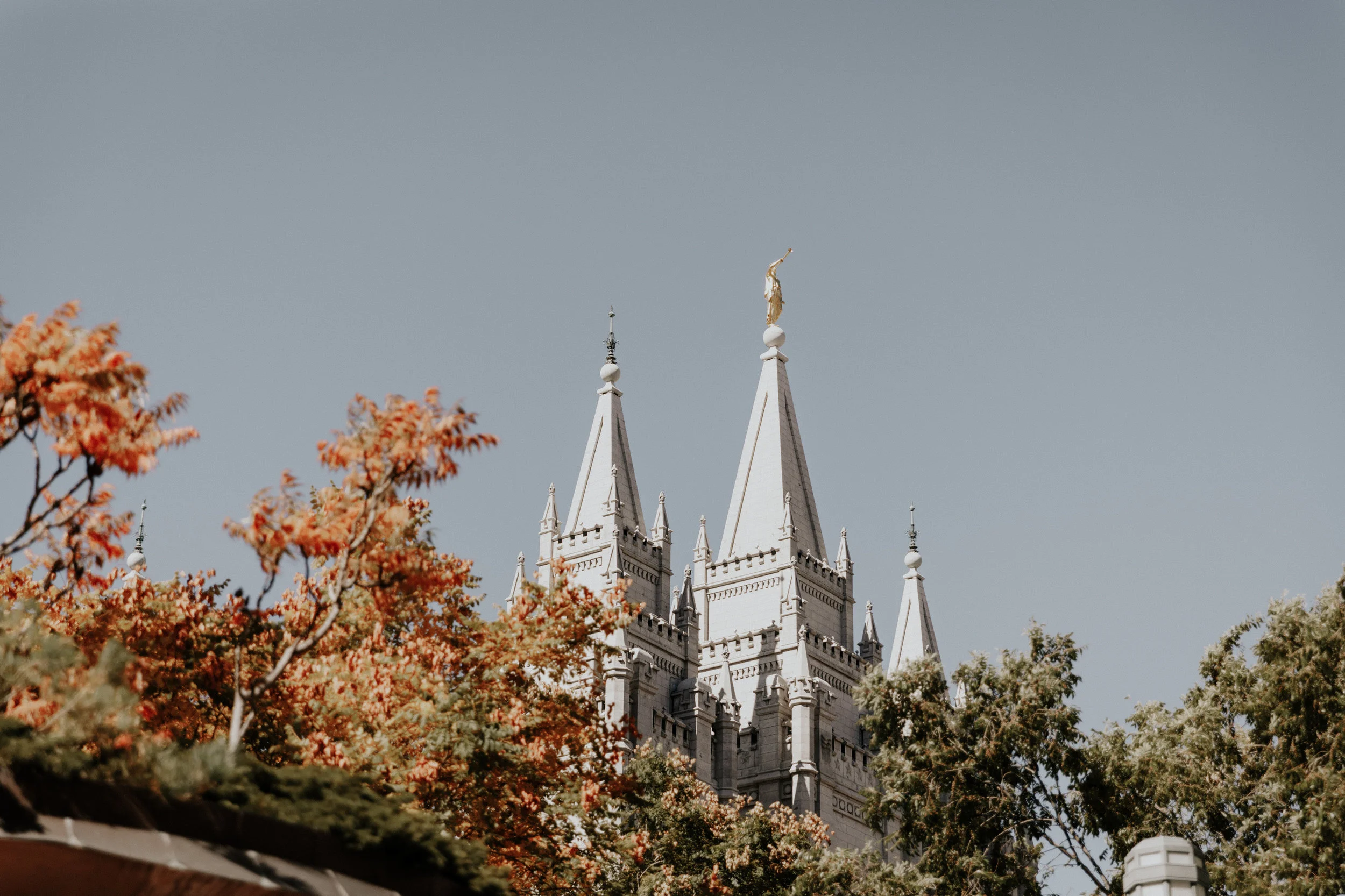 Delia & Dylan's Wedding (2)-0603.jpg