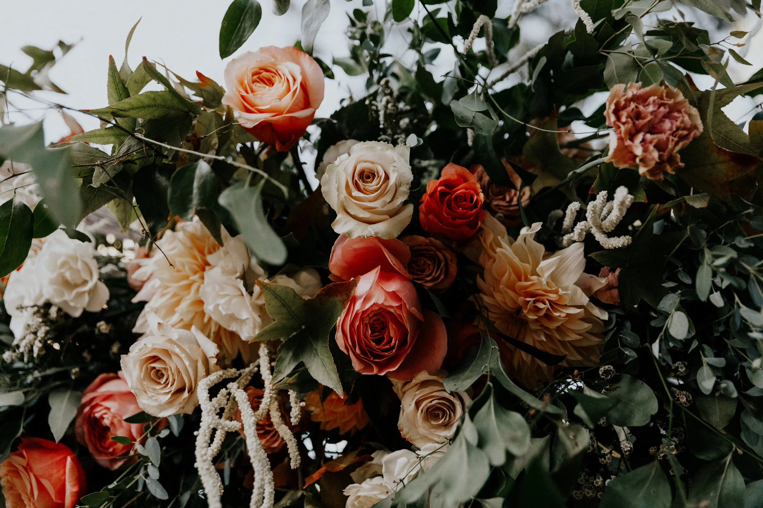 Delia & Dylan's Wedding (2)-0701.jpg