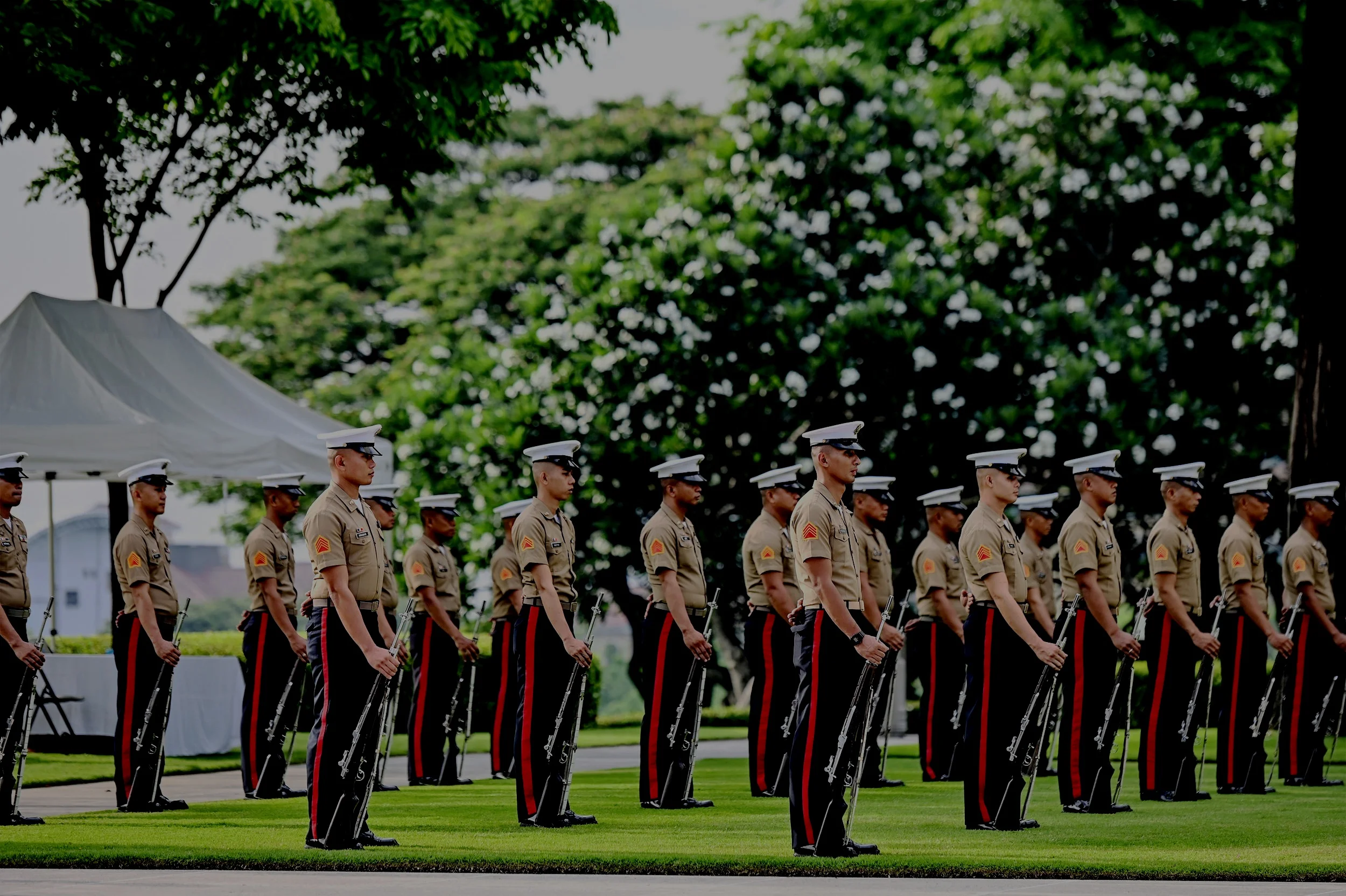 AAP | The American Association of the Philippines