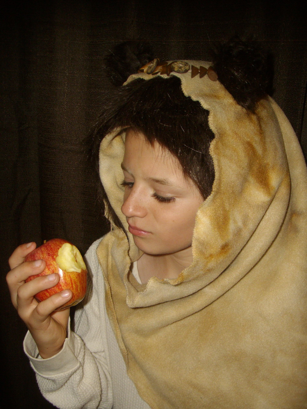 diy star wars ewok hood