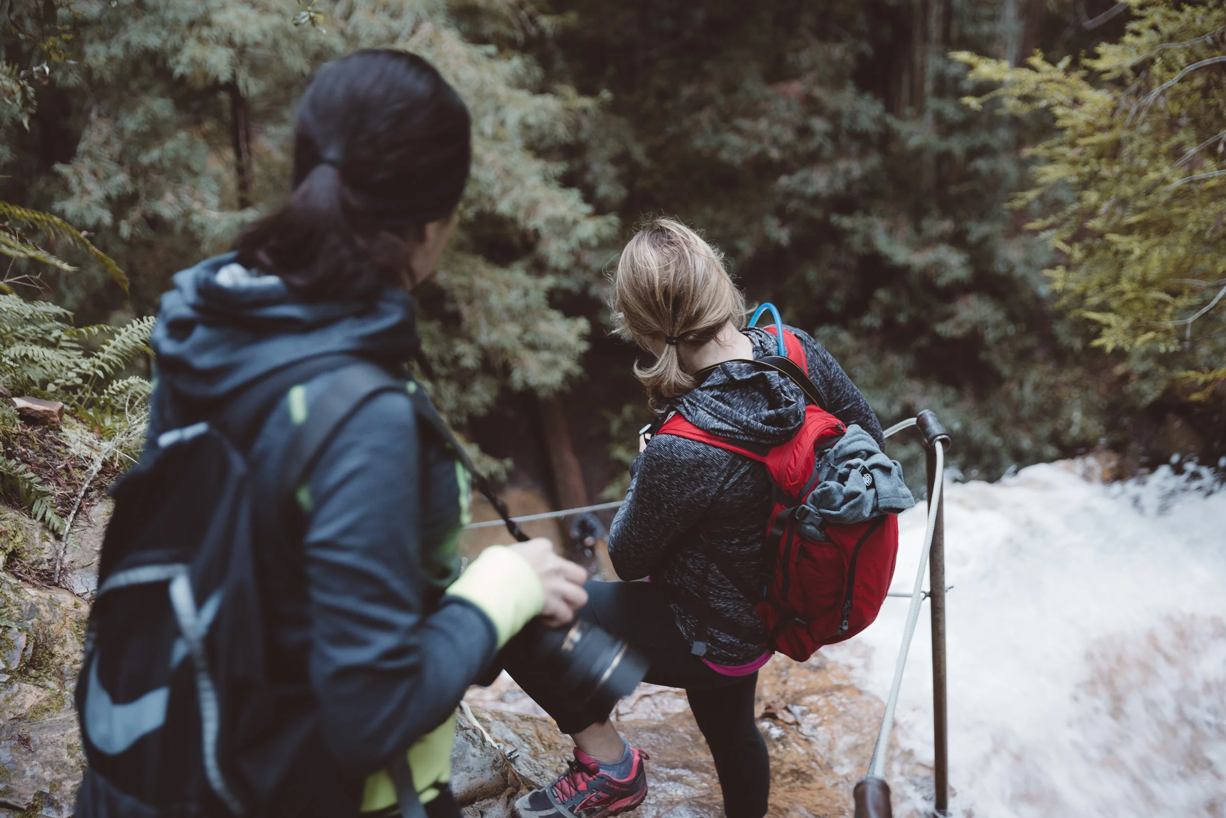 big-basin-silver-falls-descent-hike-and-shoot-1.jpg