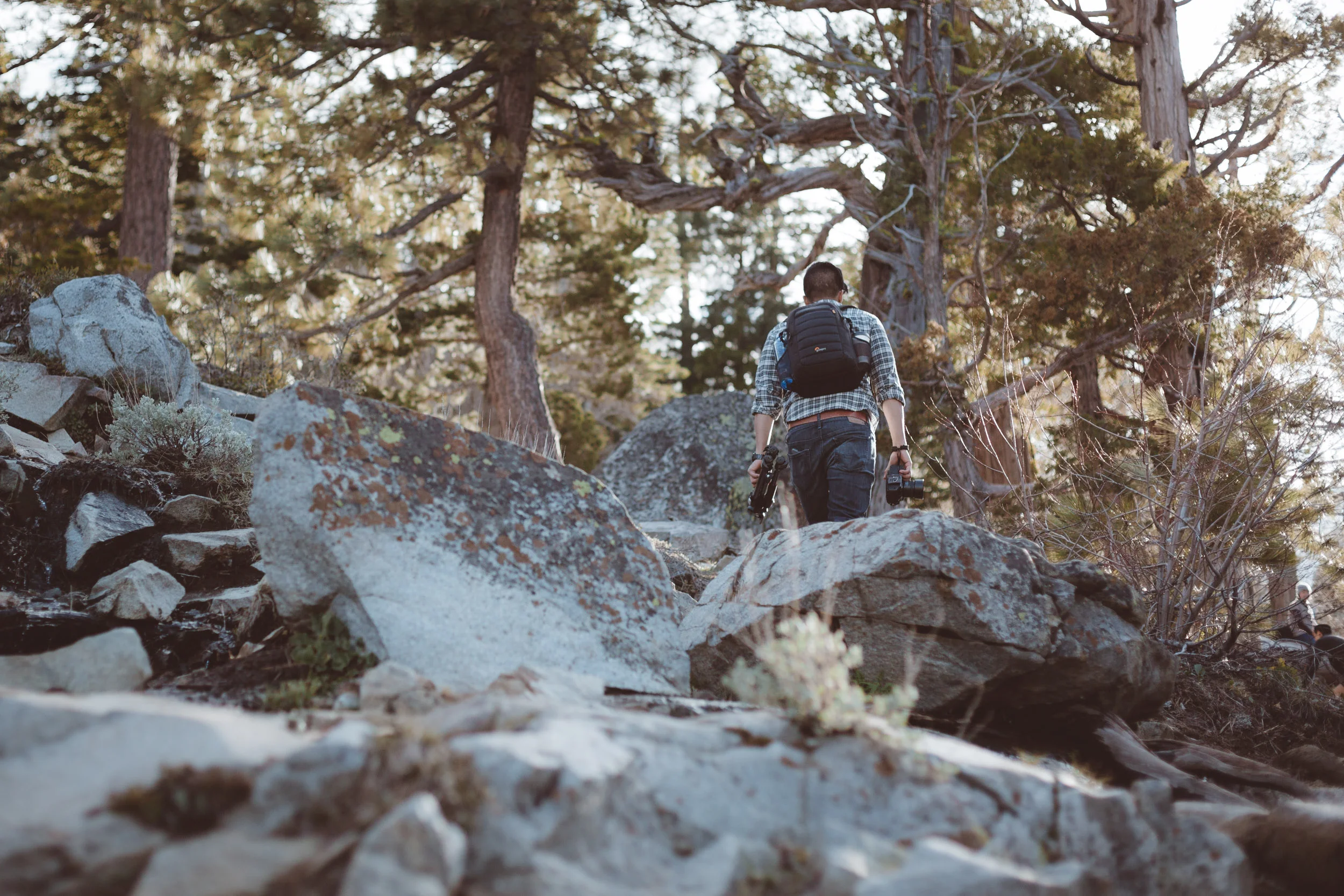 west-shore-adventure-eagle-falls-exploration-hike-and-shoot-1.jpg