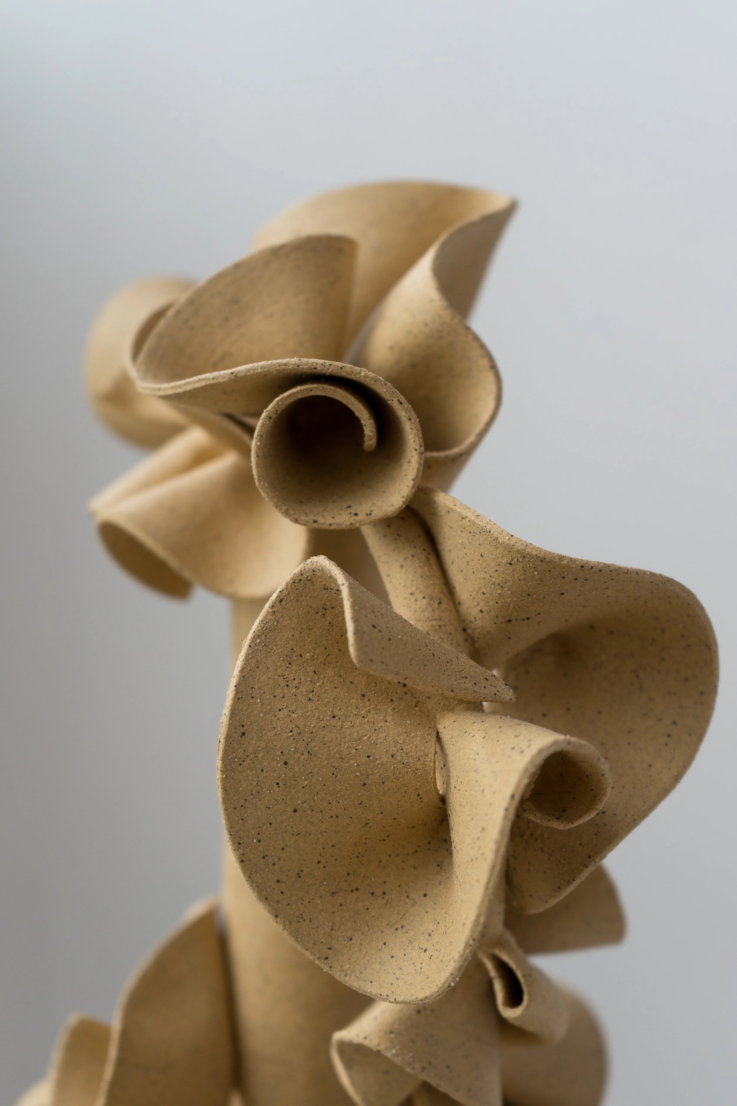 Ribbon Vessel II detail.jpg