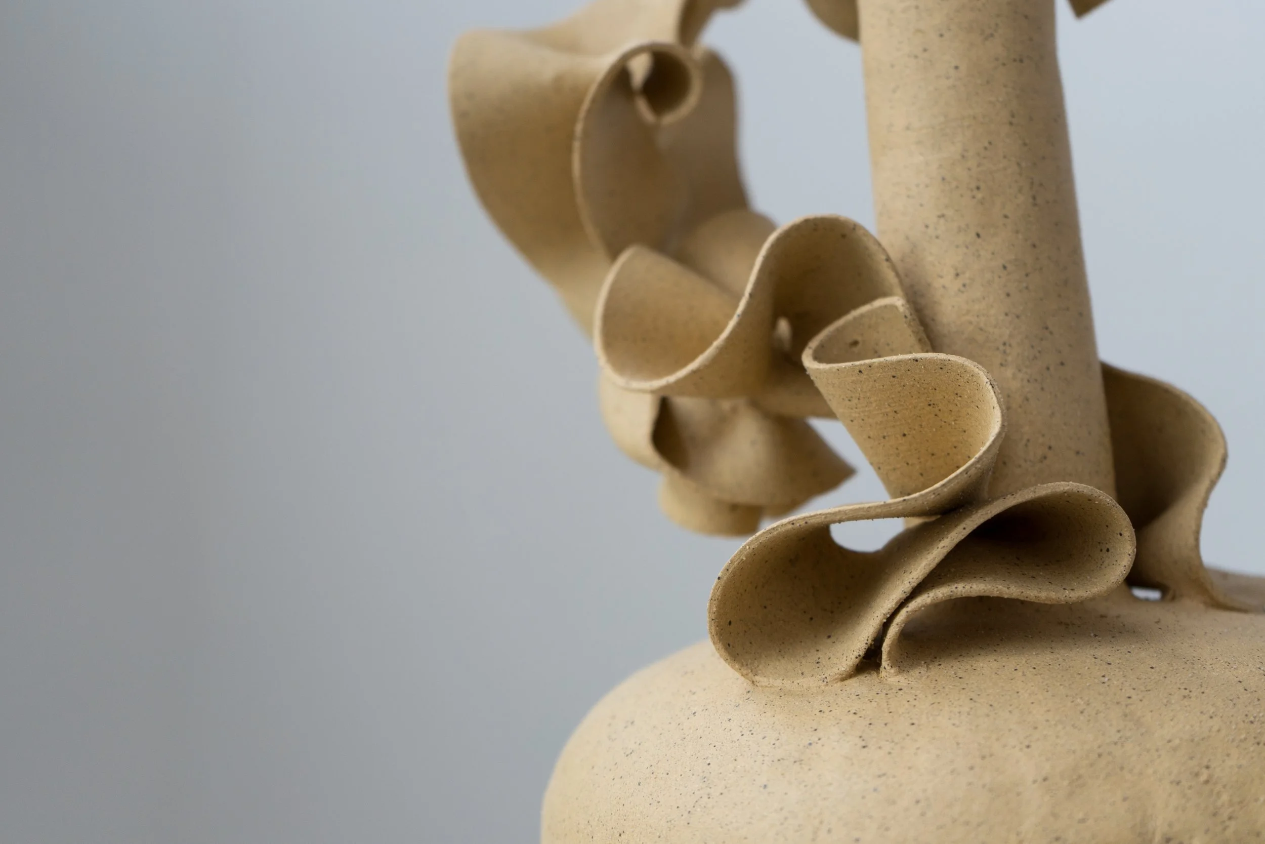 Ribbon Vessel II detail1.jpg