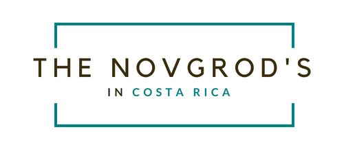 novgrods-logo.png