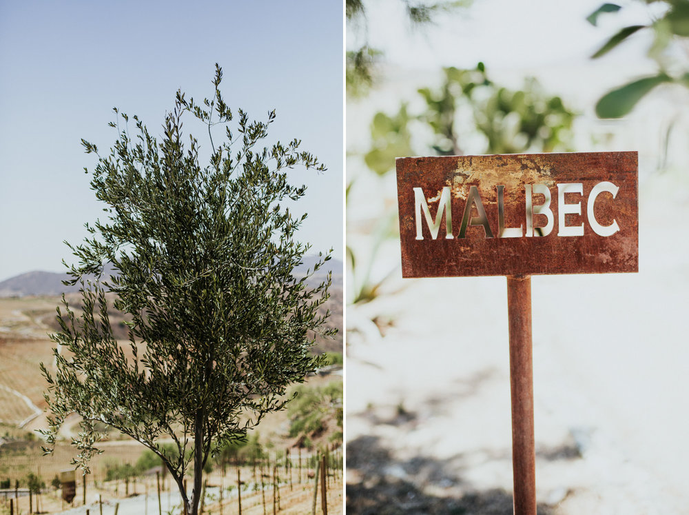 Boda-Guanajuato-Camino-de-Vinos-San-Miguel-Allende-Wedding-Fotografia-Paulina-Mauricio-Pierce0235.JPG