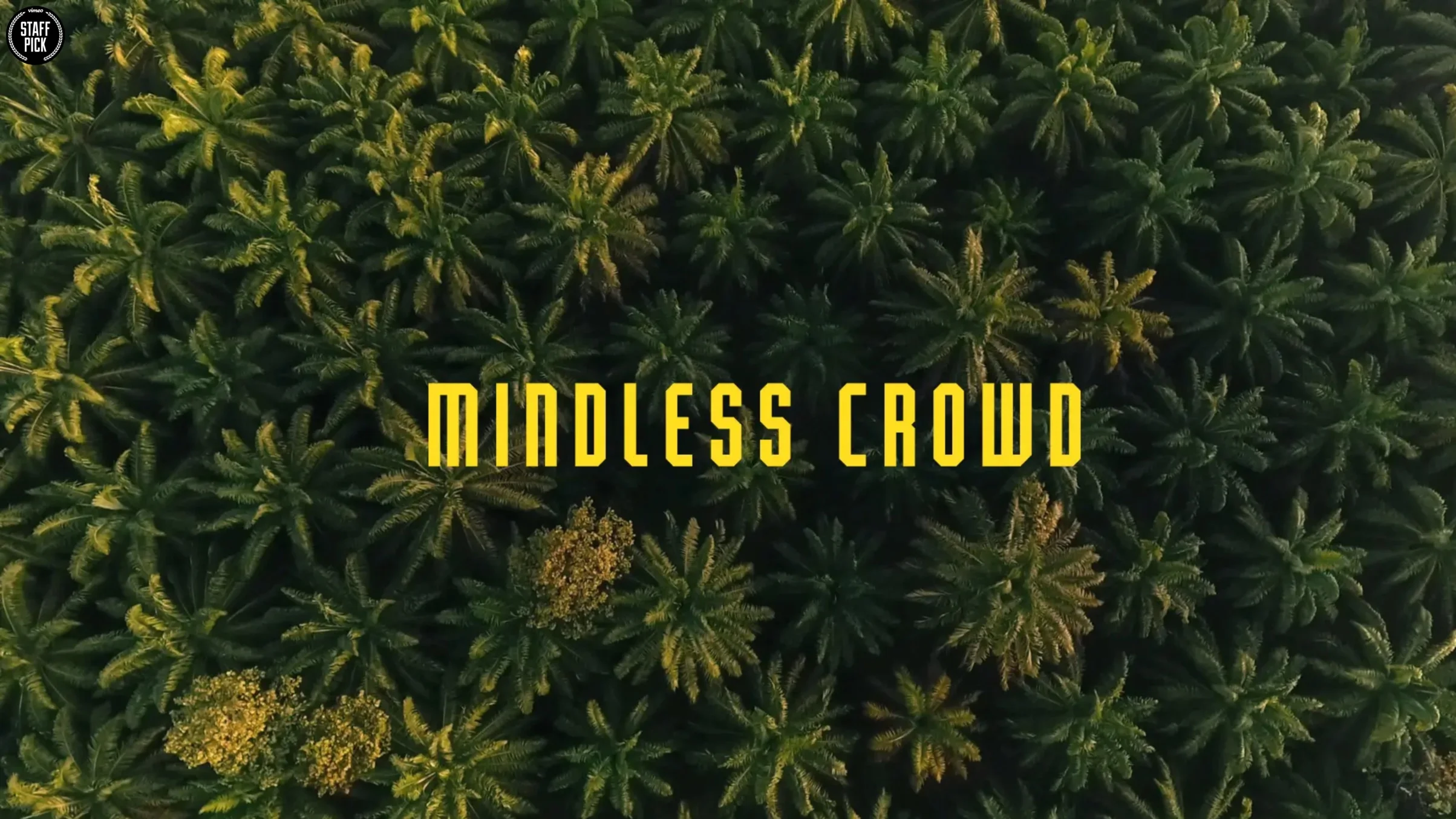 Mindless+Crowd.jpg