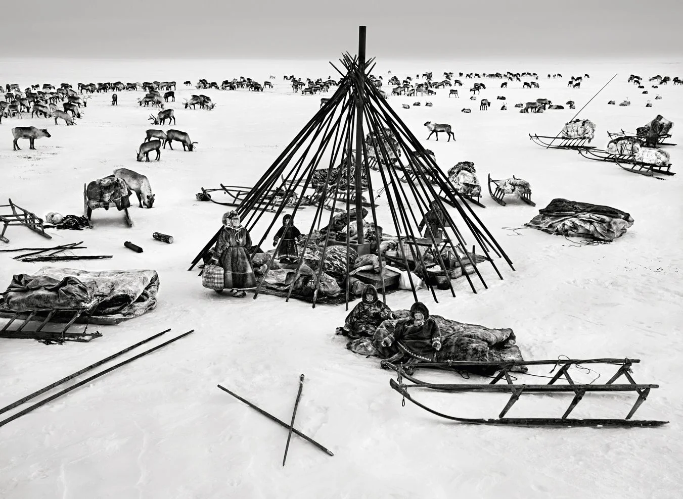 sebastiao salgado nenets tents.jpg