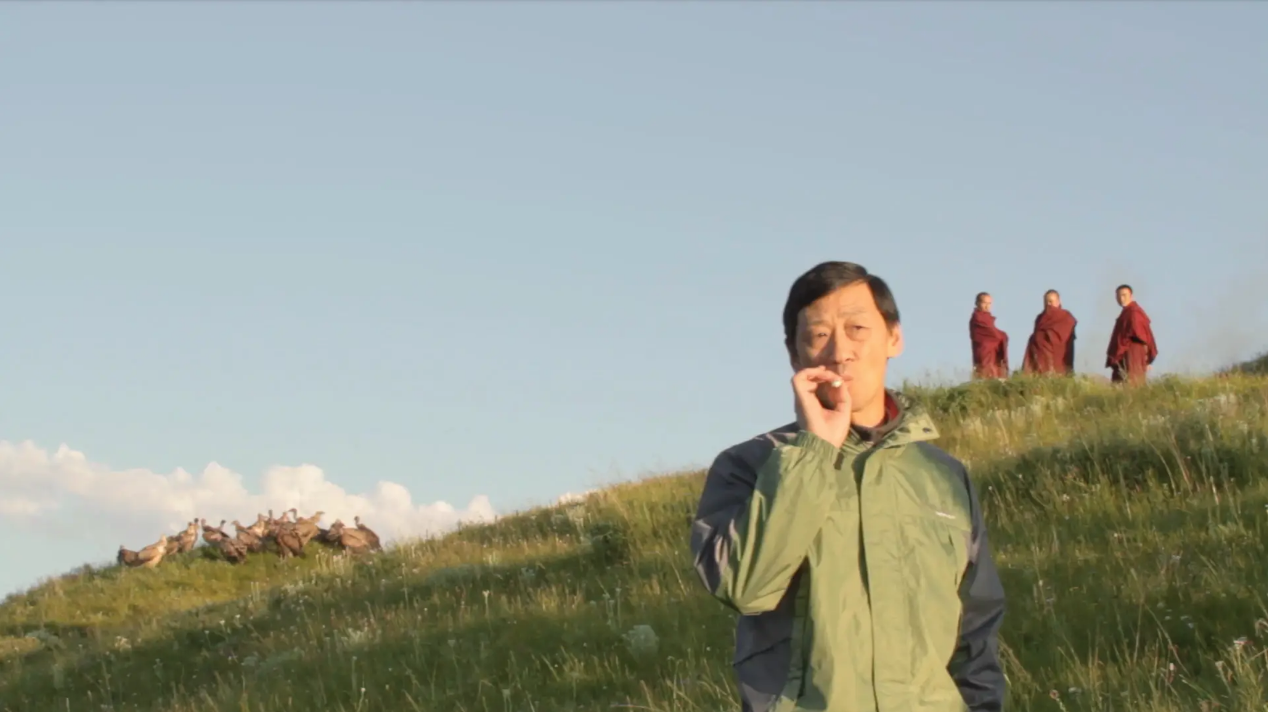 Vultures of Tibet.png