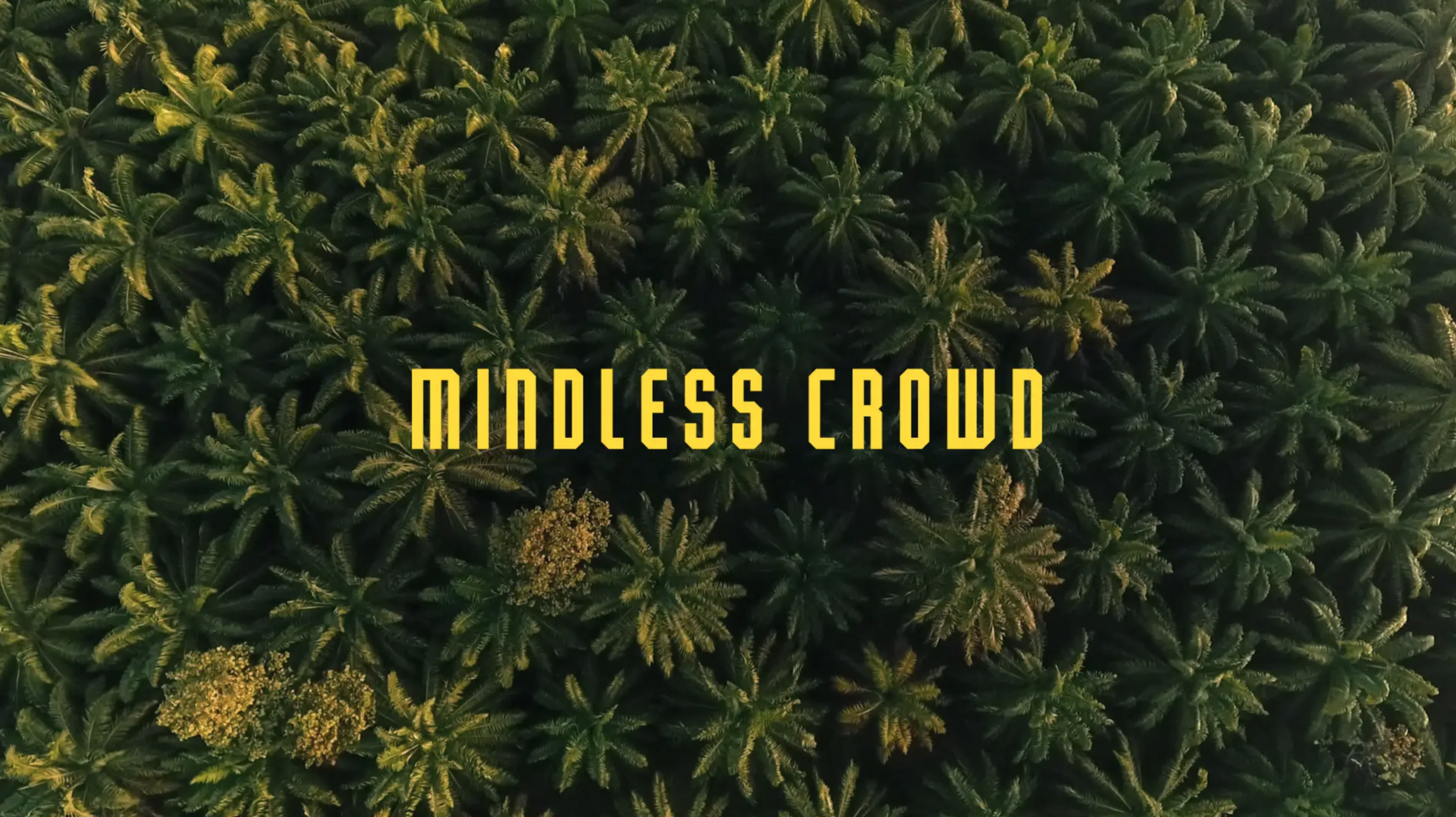 Mindless Crowd.png