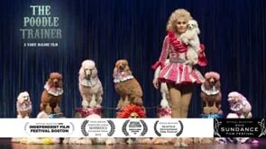 The Poodle Trainer