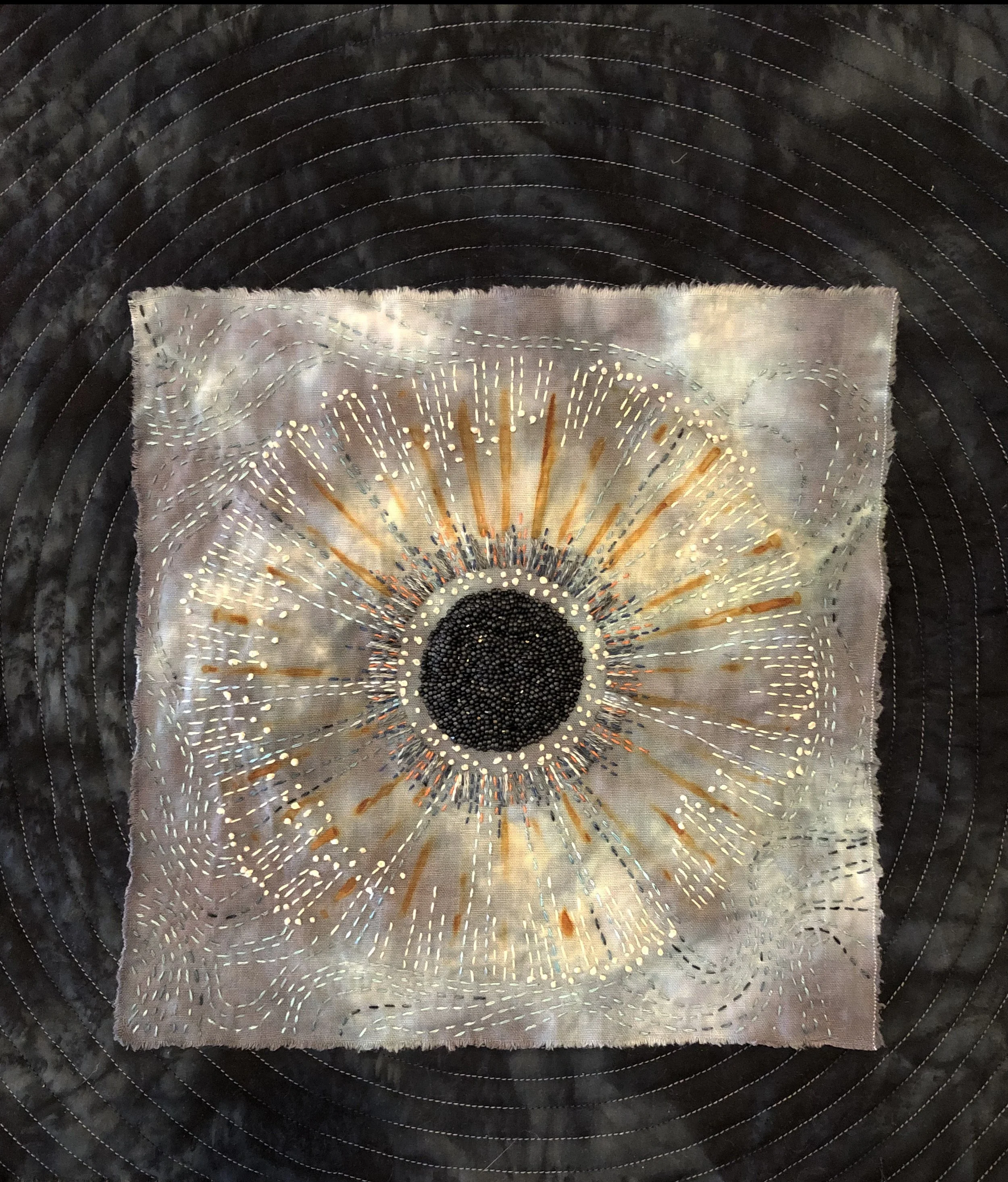 Its Eye Was the Size of a Dinner Plate