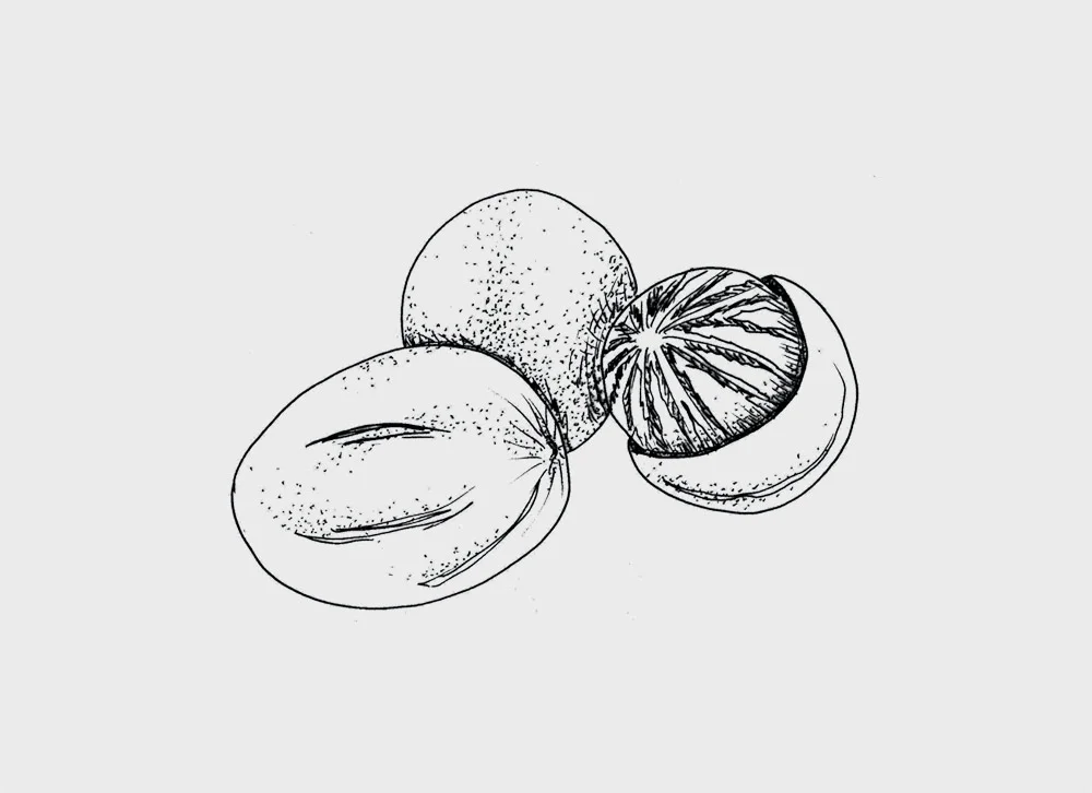 flowers4.jpg