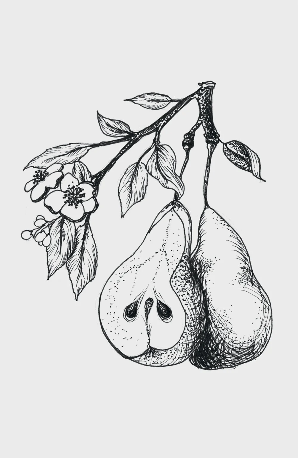 pear.jpg