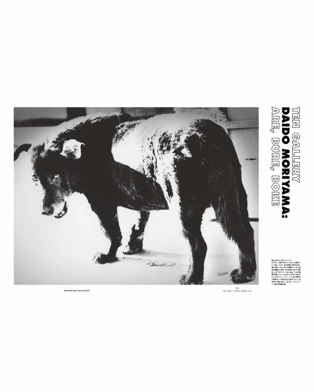 .
KYOTOGRAPHIE 京都国際写真祭 2026
#EDGE
2026年4月18日（土）&mdash; 5月17日（日）今週日曜日まで！

『10 MAGAZINE JAPAN 』2026年春夏号にて、KYOTOGRAPHIE 2026 メインプログラムアーティスト 森山大道が6ページにわたり掲載されています。

問われた幾つかの質問に回答した森山大道の簡潔な文章から、「写真とは？」「記憶とは？」「時間とは？」、森山大道の「光と影」を追いかけます。

森山大道「A RETROSPECTIV