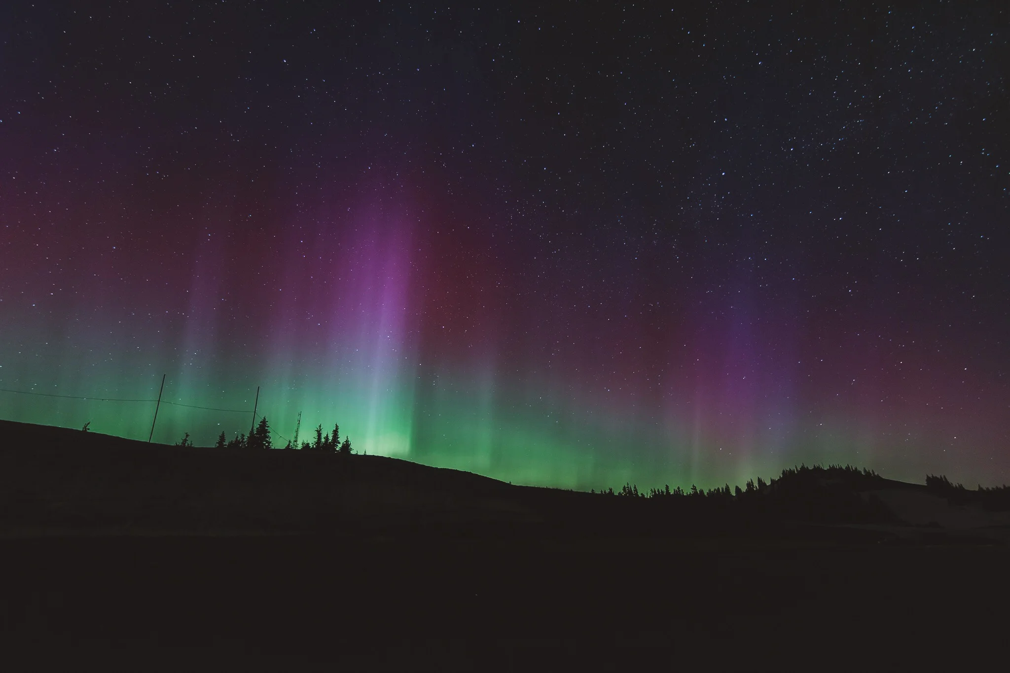 Mother's Day Present / Olympic National Park