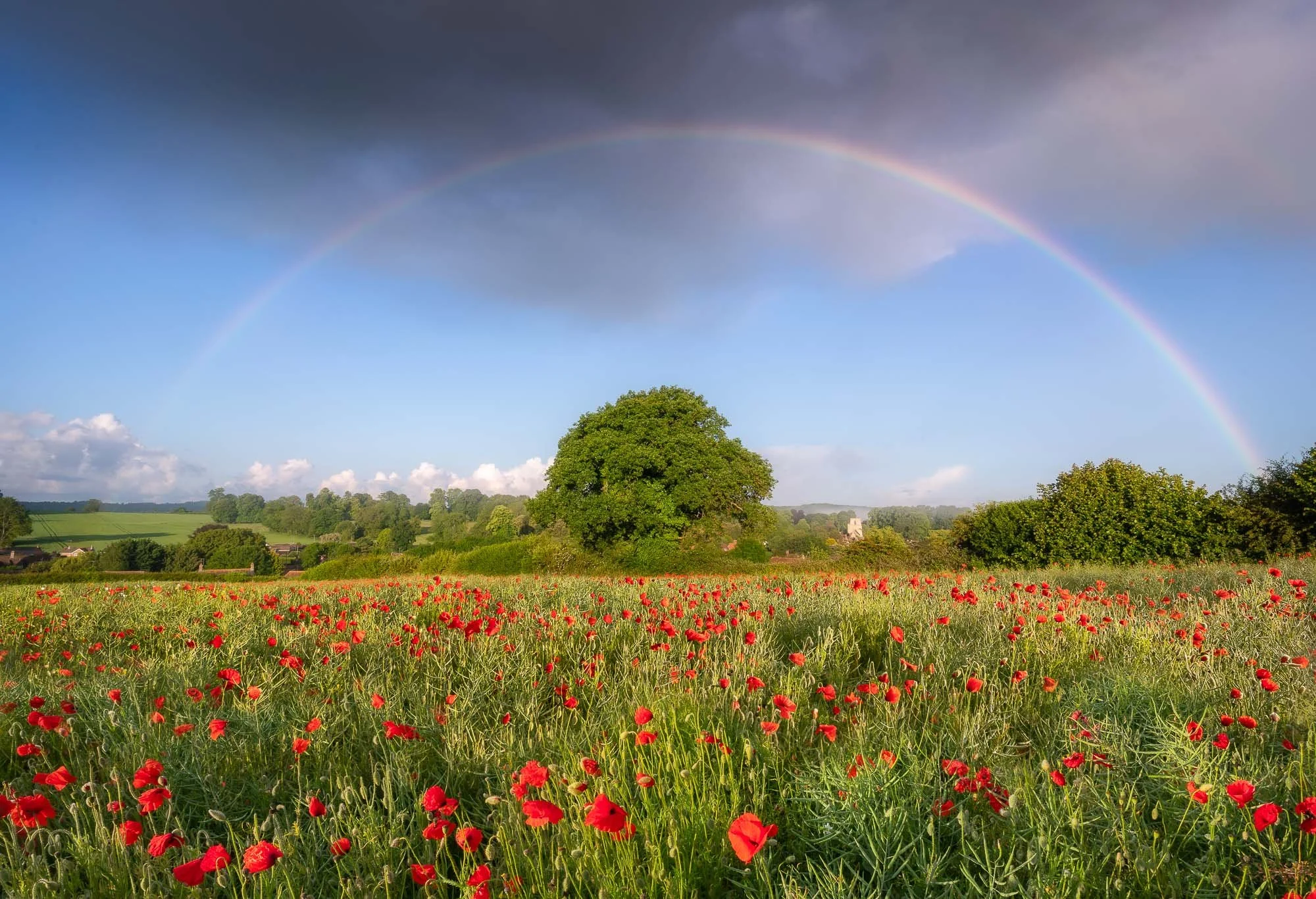 Jack Lodge Photography-Summer-_JWL4230-Edit-Edit-2-Edit.jpg