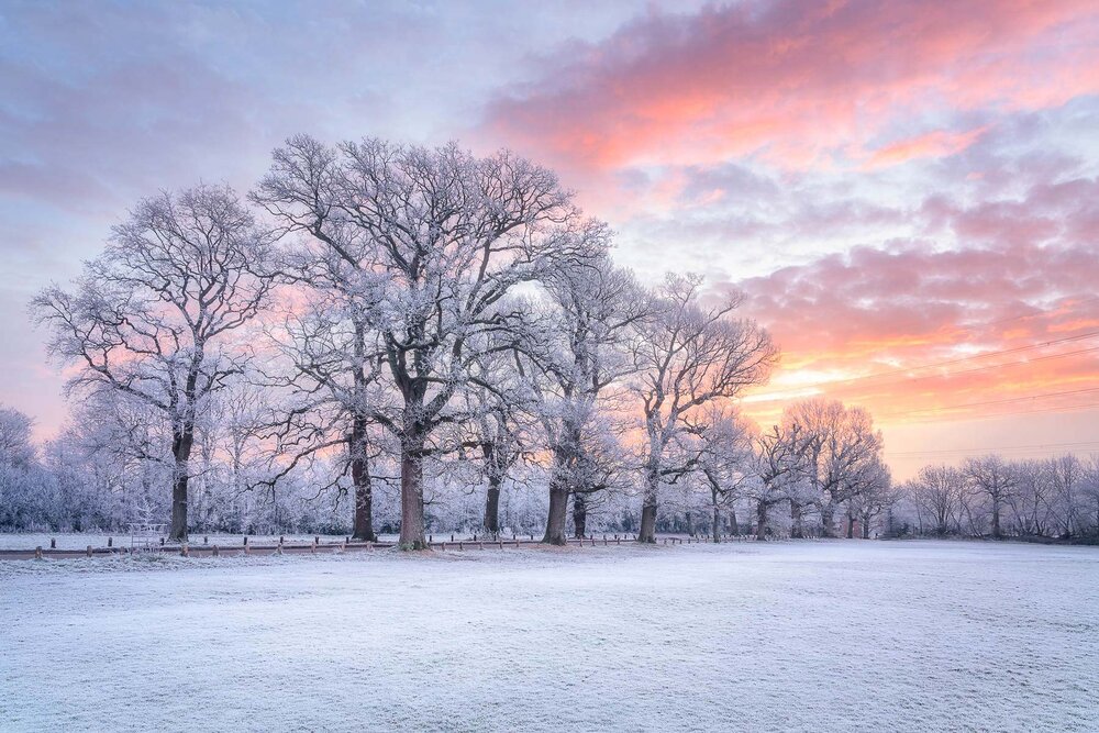 Winter Wonderland In Wimborne, Dorset (Copy)