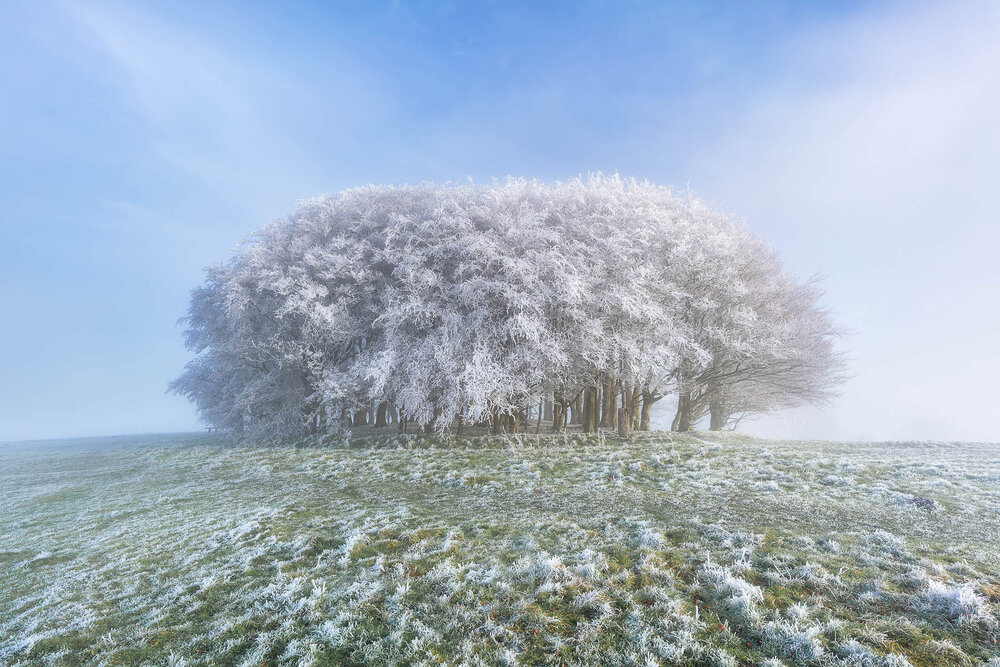 Winter at Win Green, Wiltshire (Copy)