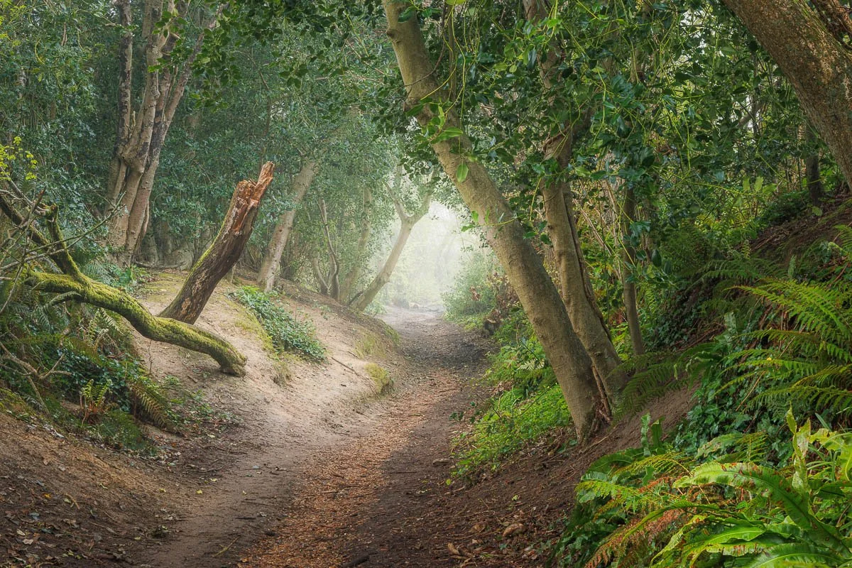 Jack Lodge Photography--120.jpg
