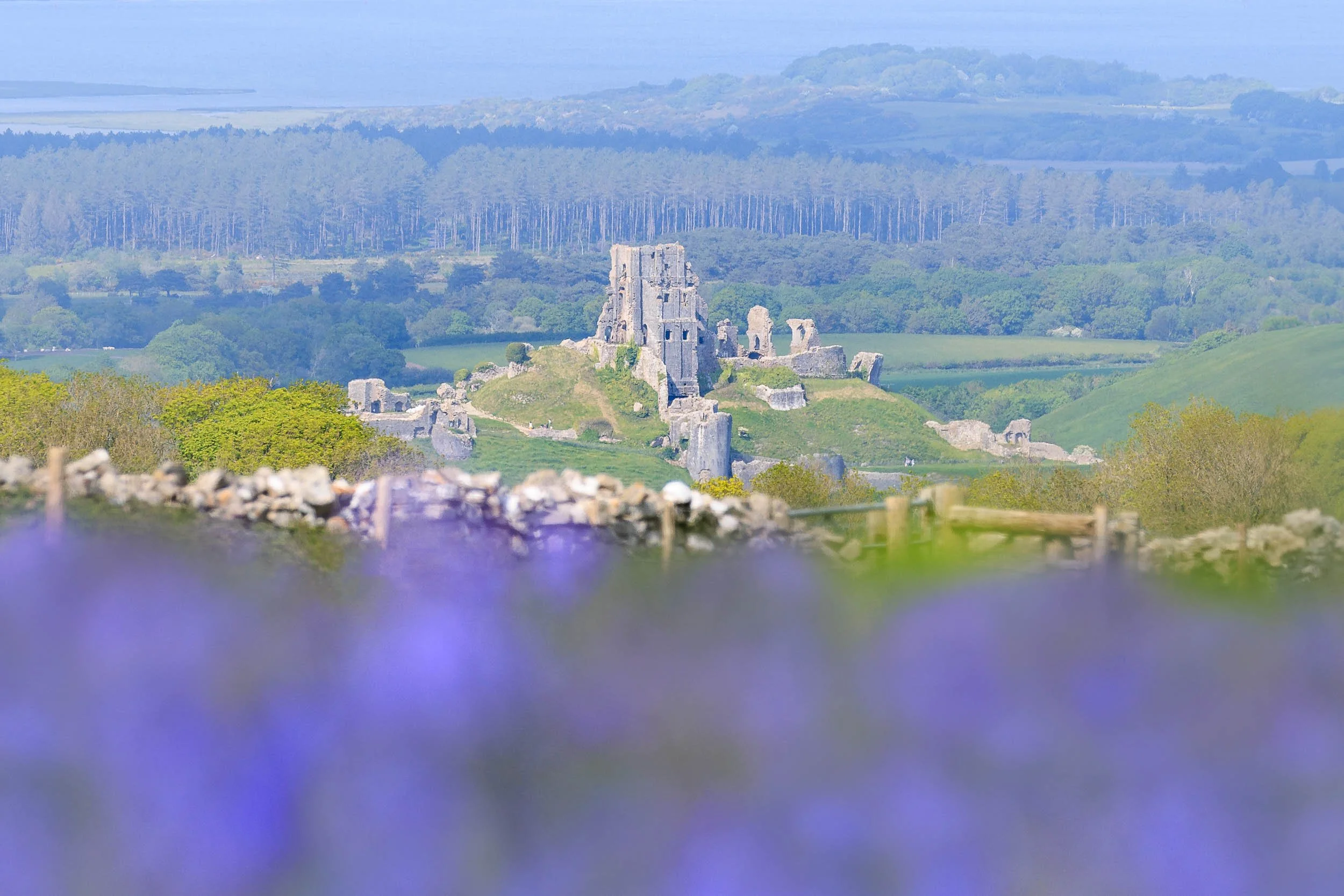 Jack Lodge Photography-Spring-68.jpg