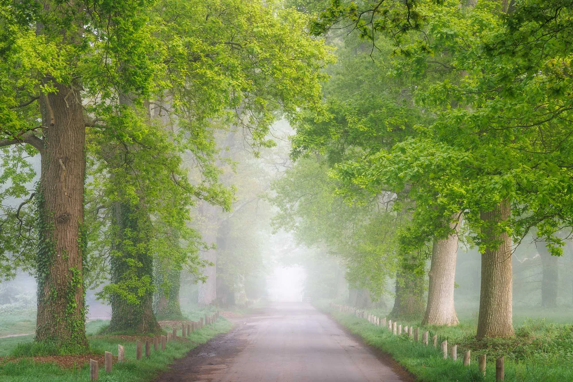 Jack Lodge Photography-Spring-_JL_6374-Edit.jpg