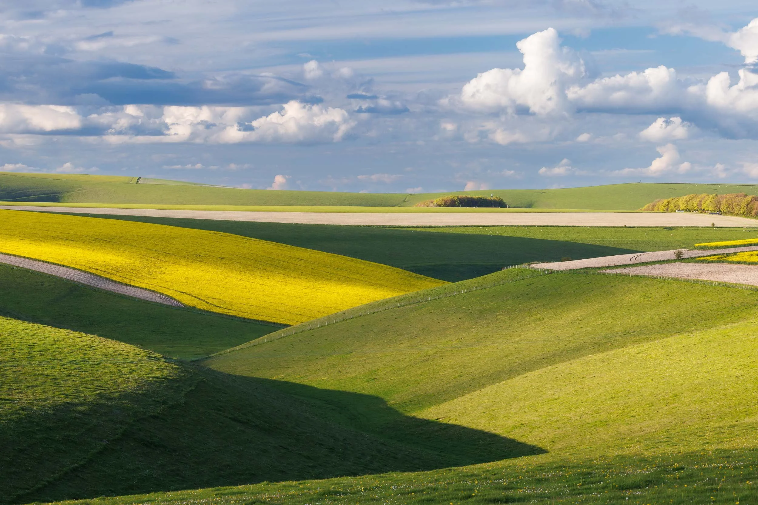 Jack Lodge Photography-Spring-51.jpg
