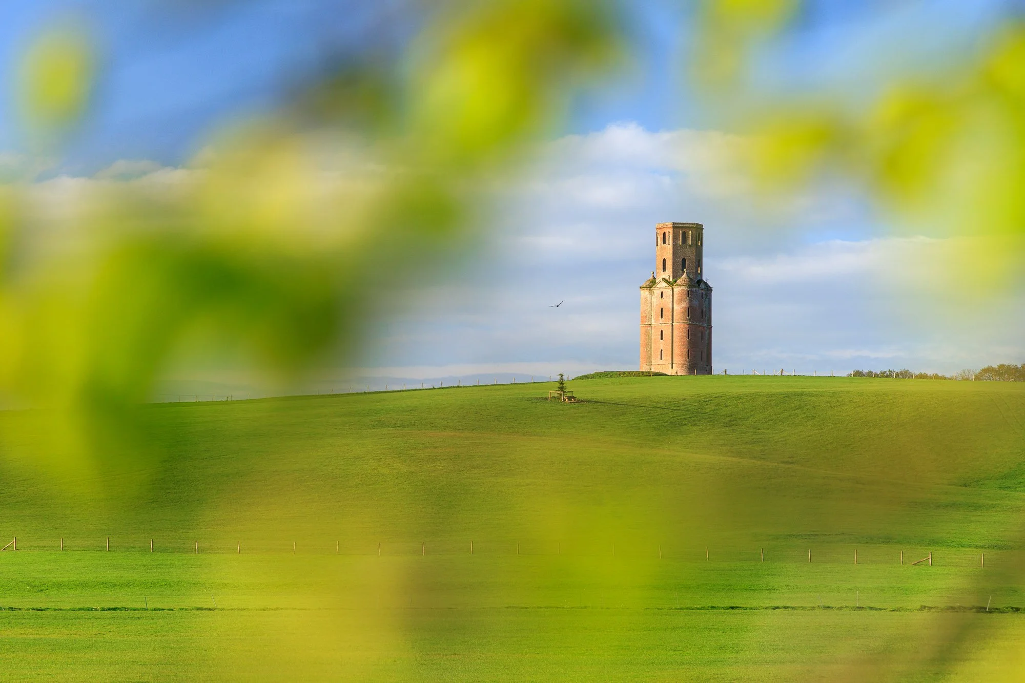 Jack Lodge Photography-Spring-_JL_4294-Edit.jpg